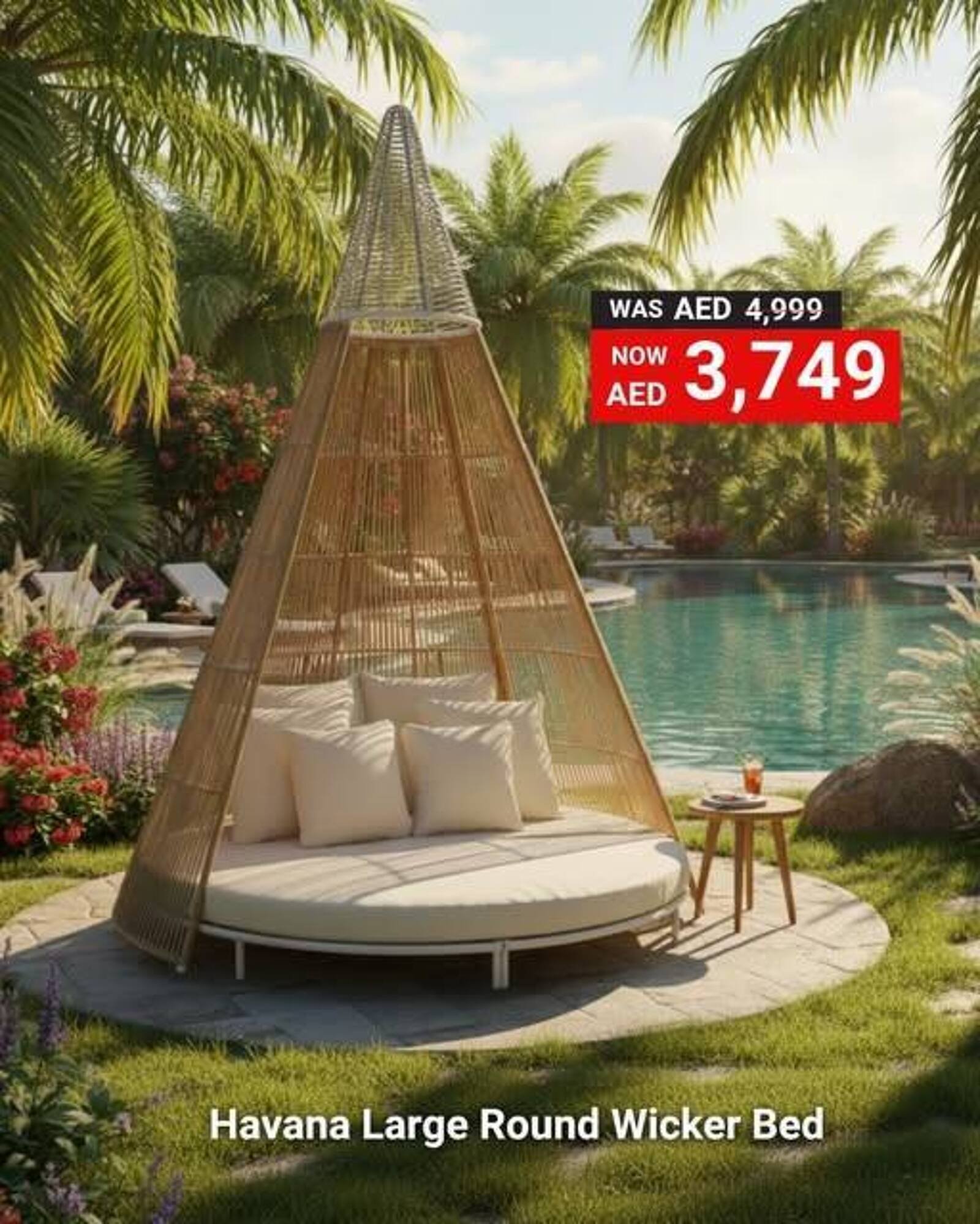 Ace catalogue (2025-11-24 - 2025-11-25)