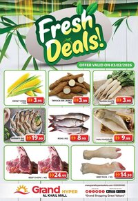 Grand Hyper Market catalogue (2026-02-03 - 2026-02-03)