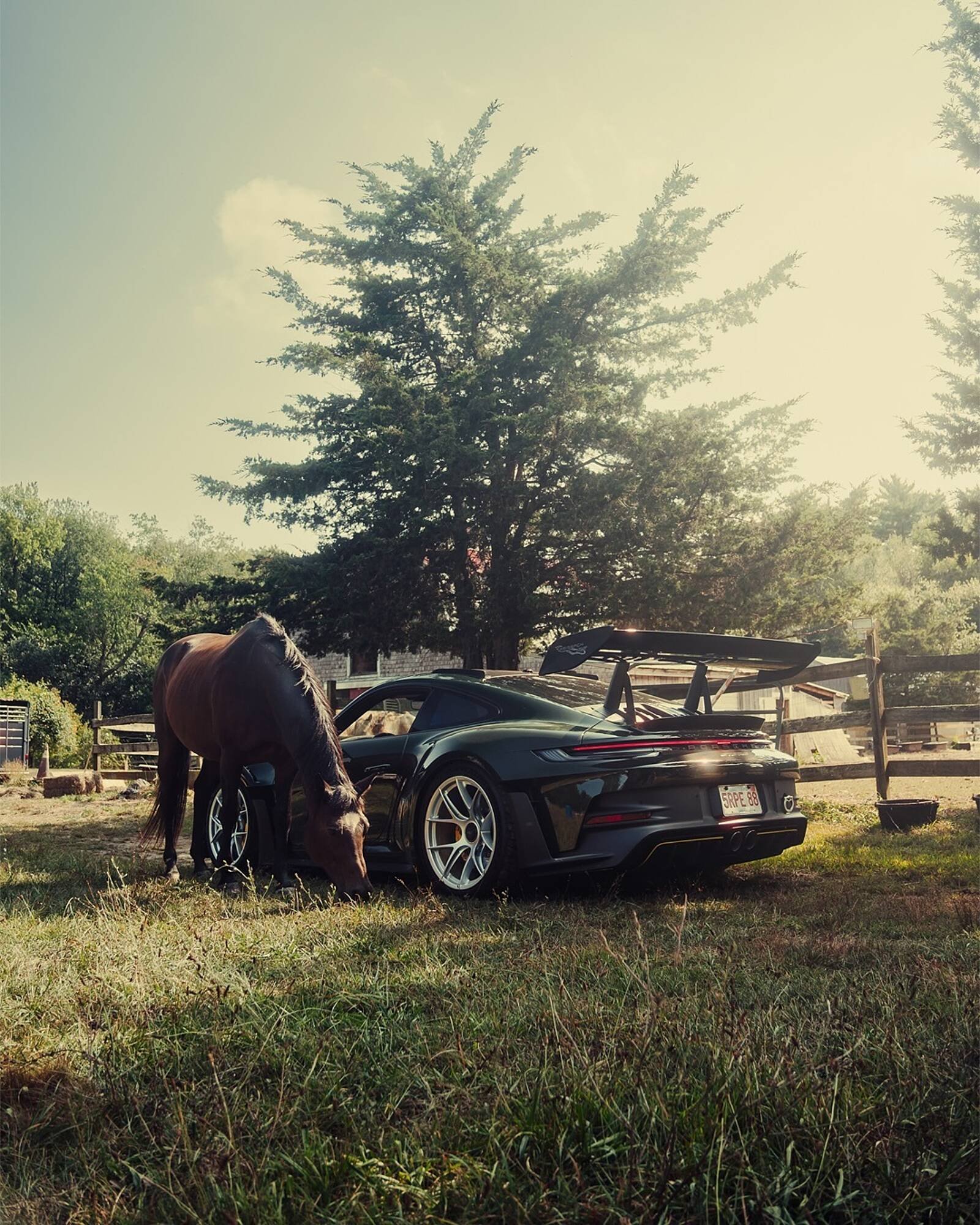 Porsche catalogue (2026-02-17 - 2027-02-17)