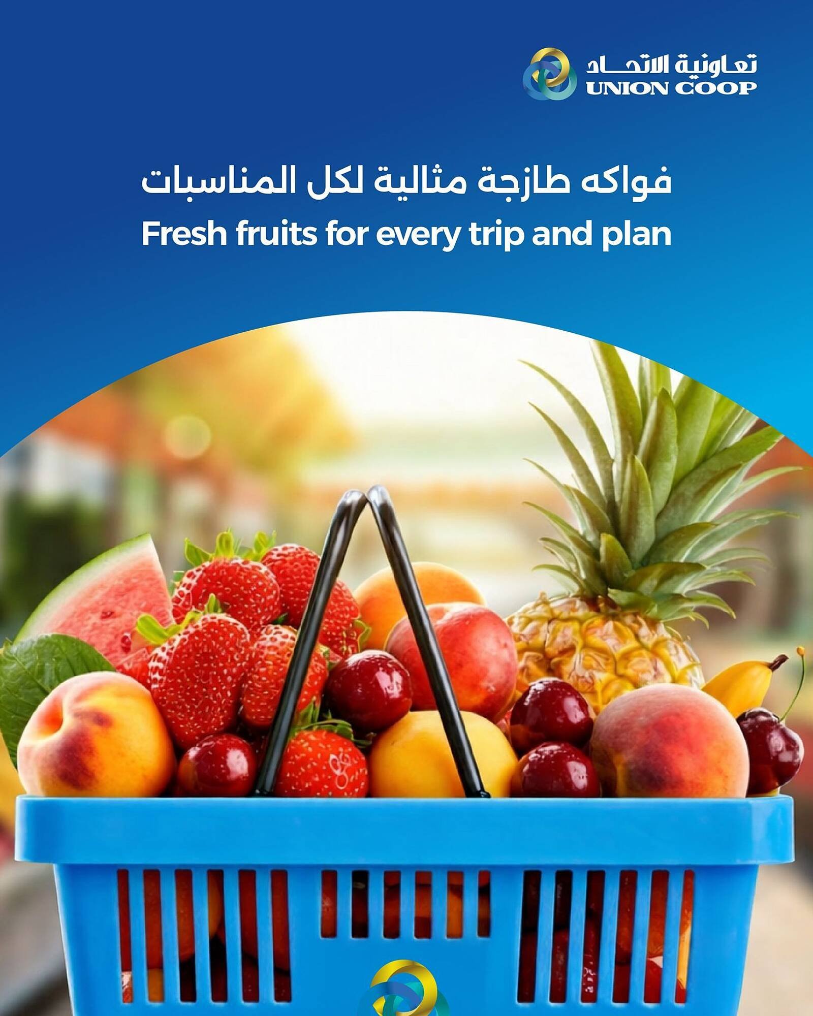 Union Coop catalogue (2025-12-24 - 2026-01-06) | 2