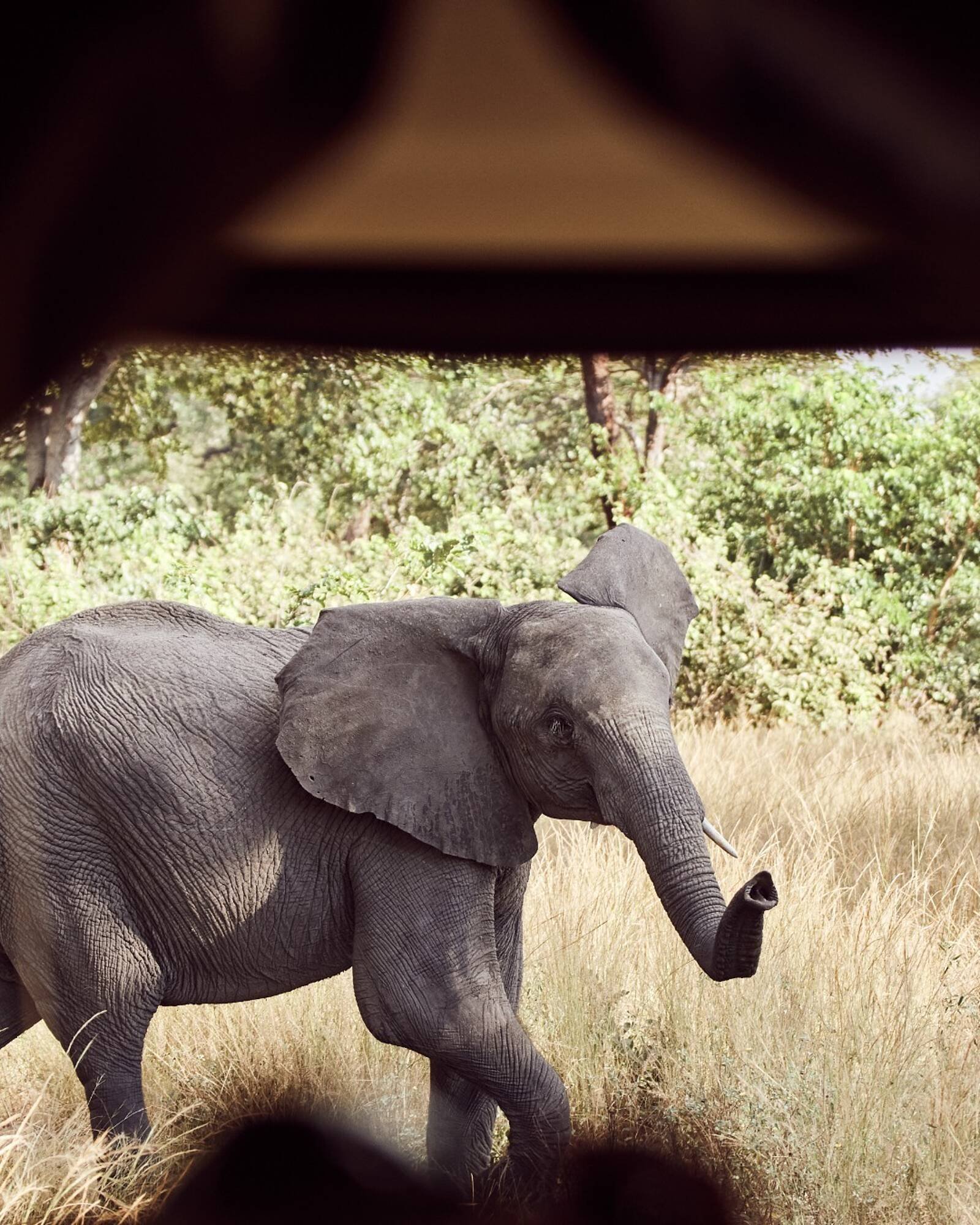 Porsche catalogue (2025-10-24 - 2026-10-24) | 5