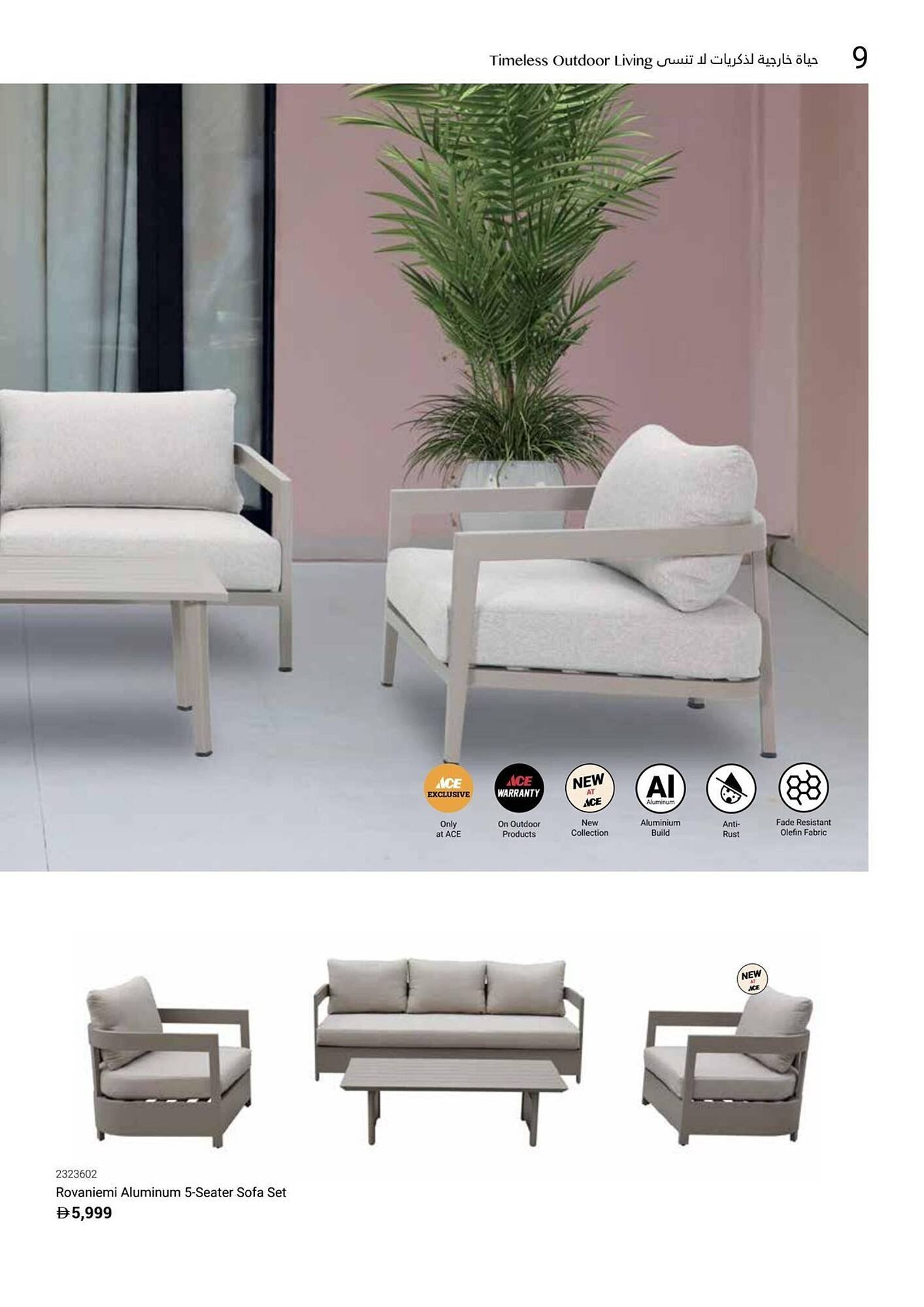 Ace catalogue (2025-12-16 - 2026-02-28) | 11