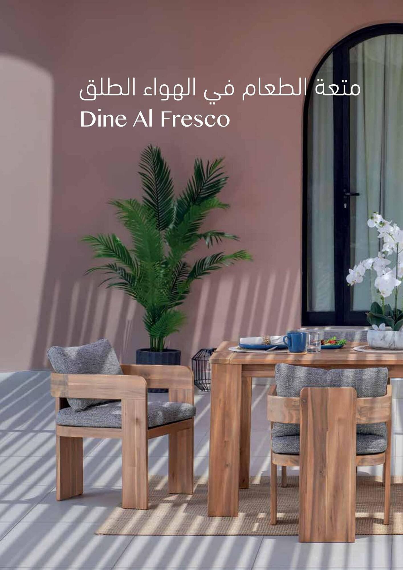 Ace catalogue (2025-12-16 - 2026-02-28) | 16