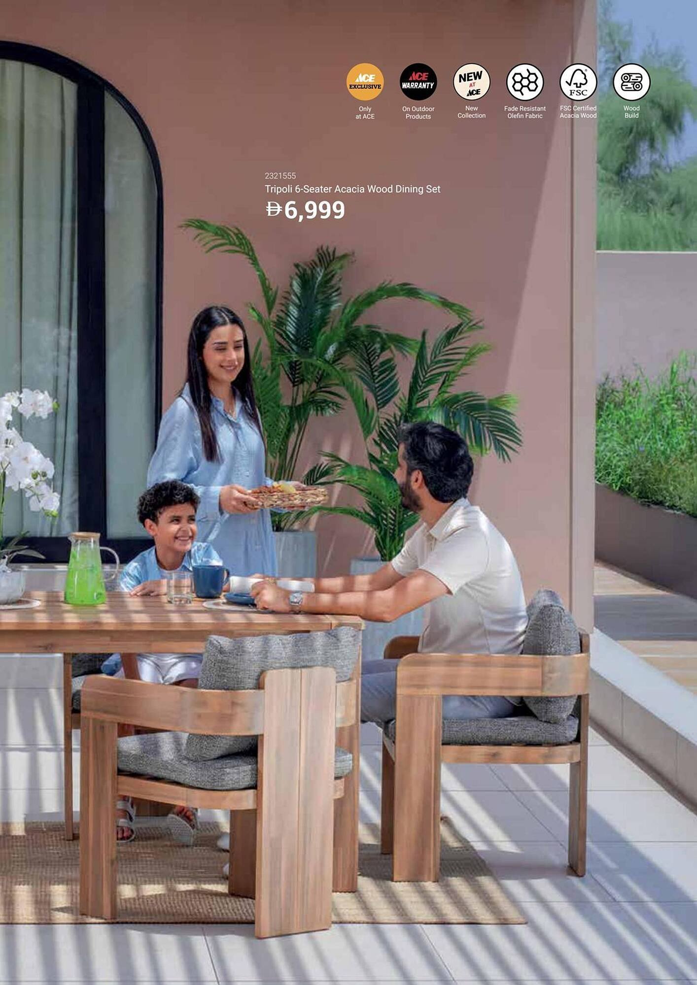 Ace catalogue (2025-12-16 - 2026-02-28) | 17