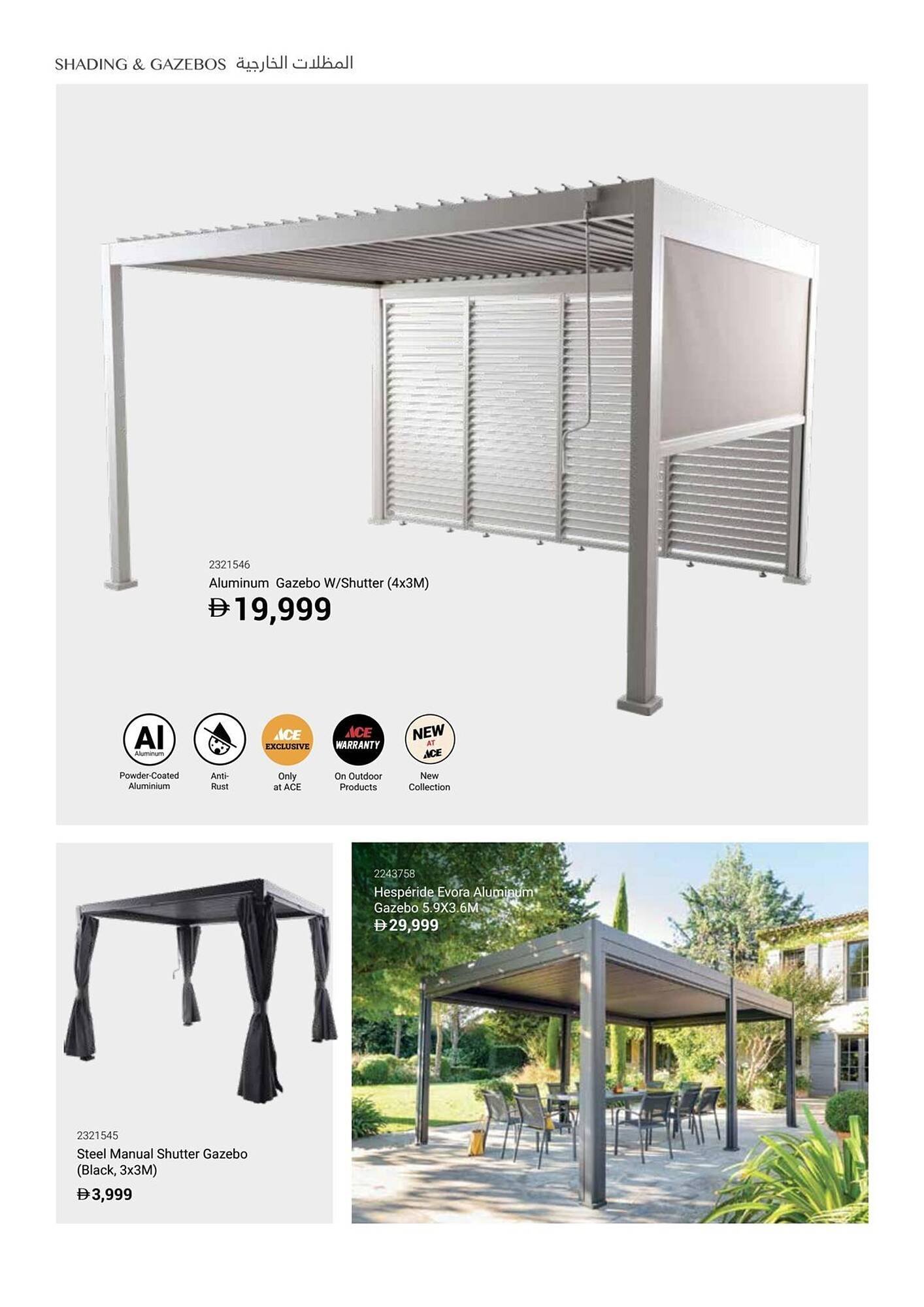 Ace catalogue (2025-12-16 - 2026-02-28) | 30