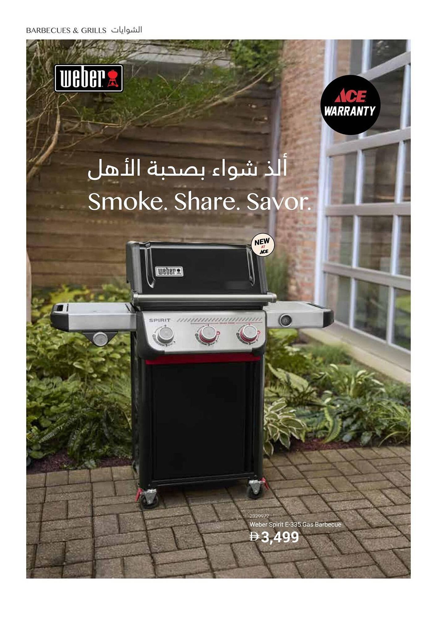 Ace catalogue (2025-12-16 - 2026-02-28) | 36