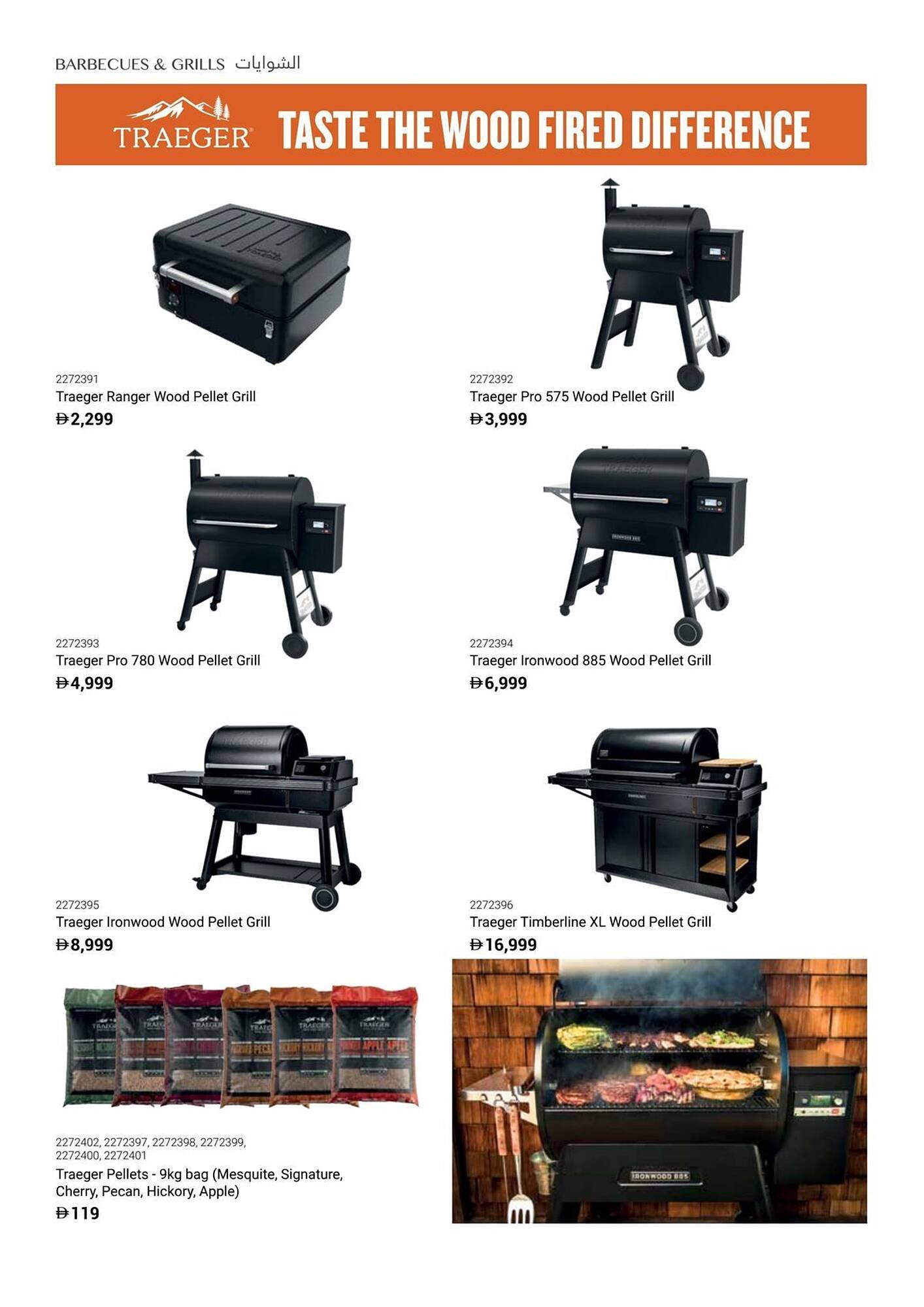 Ace catalogue (2025-12-16 - 2026-02-28) | 38