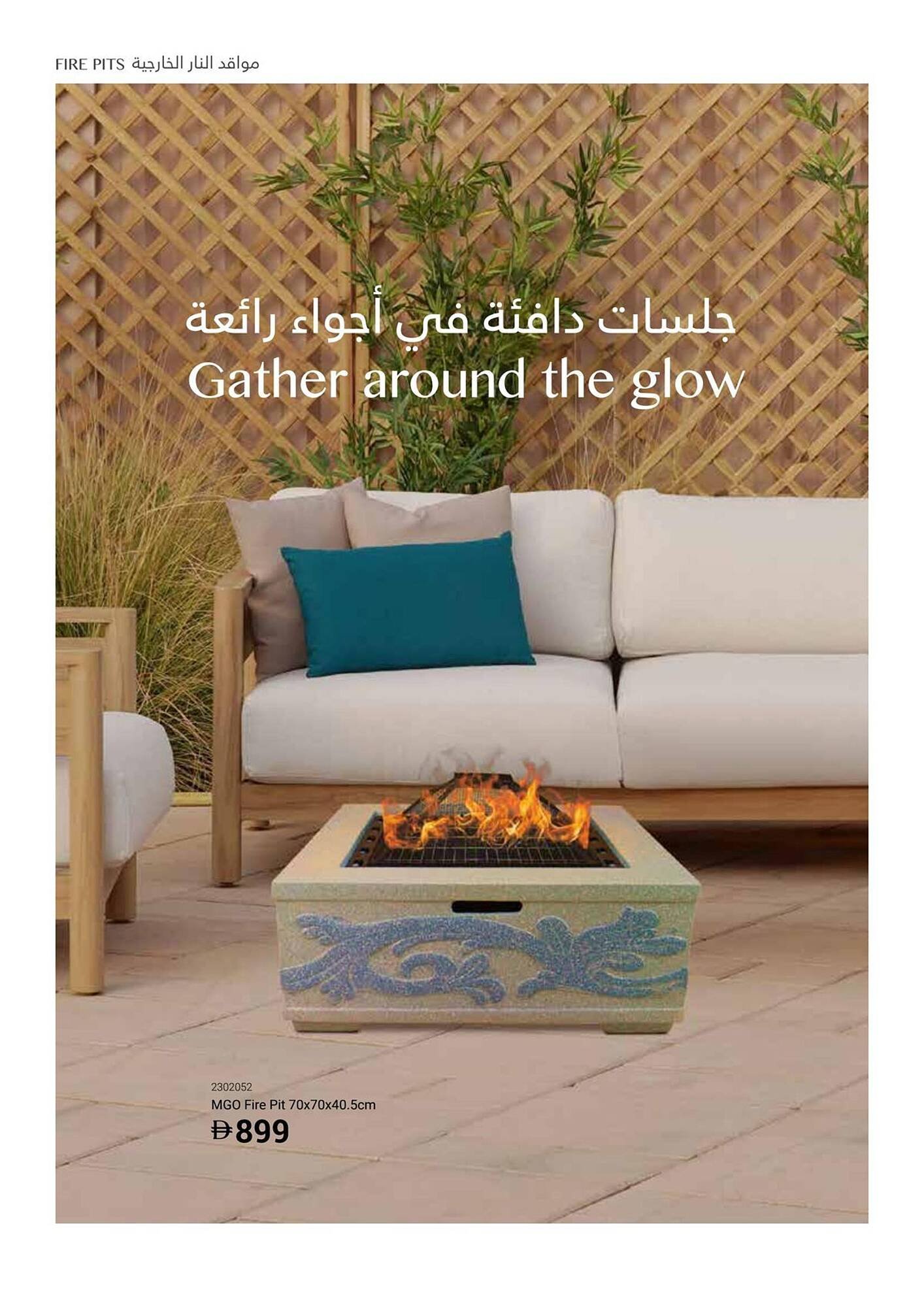 Ace catalogue (2025-12-16 - 2026-02-28) | 40