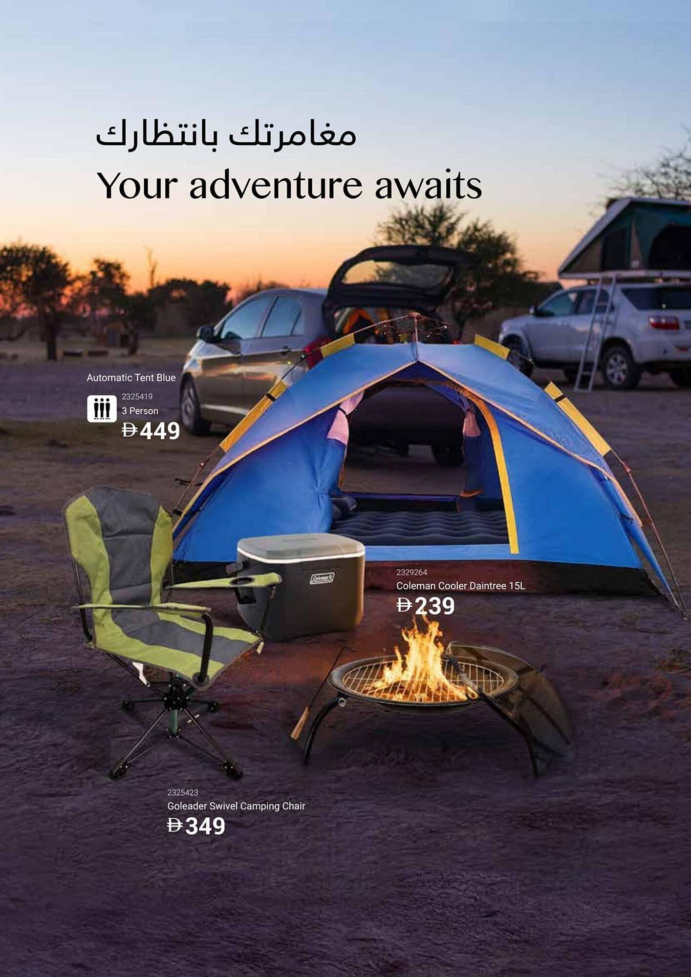 Ace catalogue (2025-12-16 - 2026-02-28) | 42