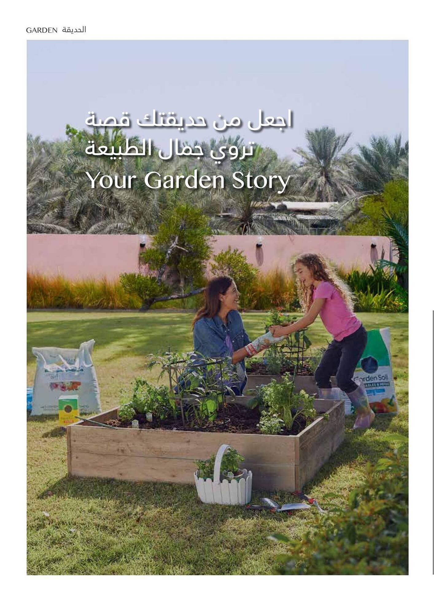 Ace catalogue (2025-12-16 - 2026-02-28) | 46