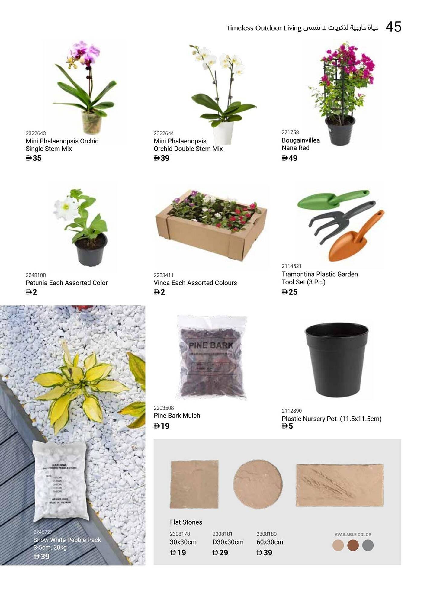 Ace catalogue (2025-12-16 - 2026-02-28) | 47