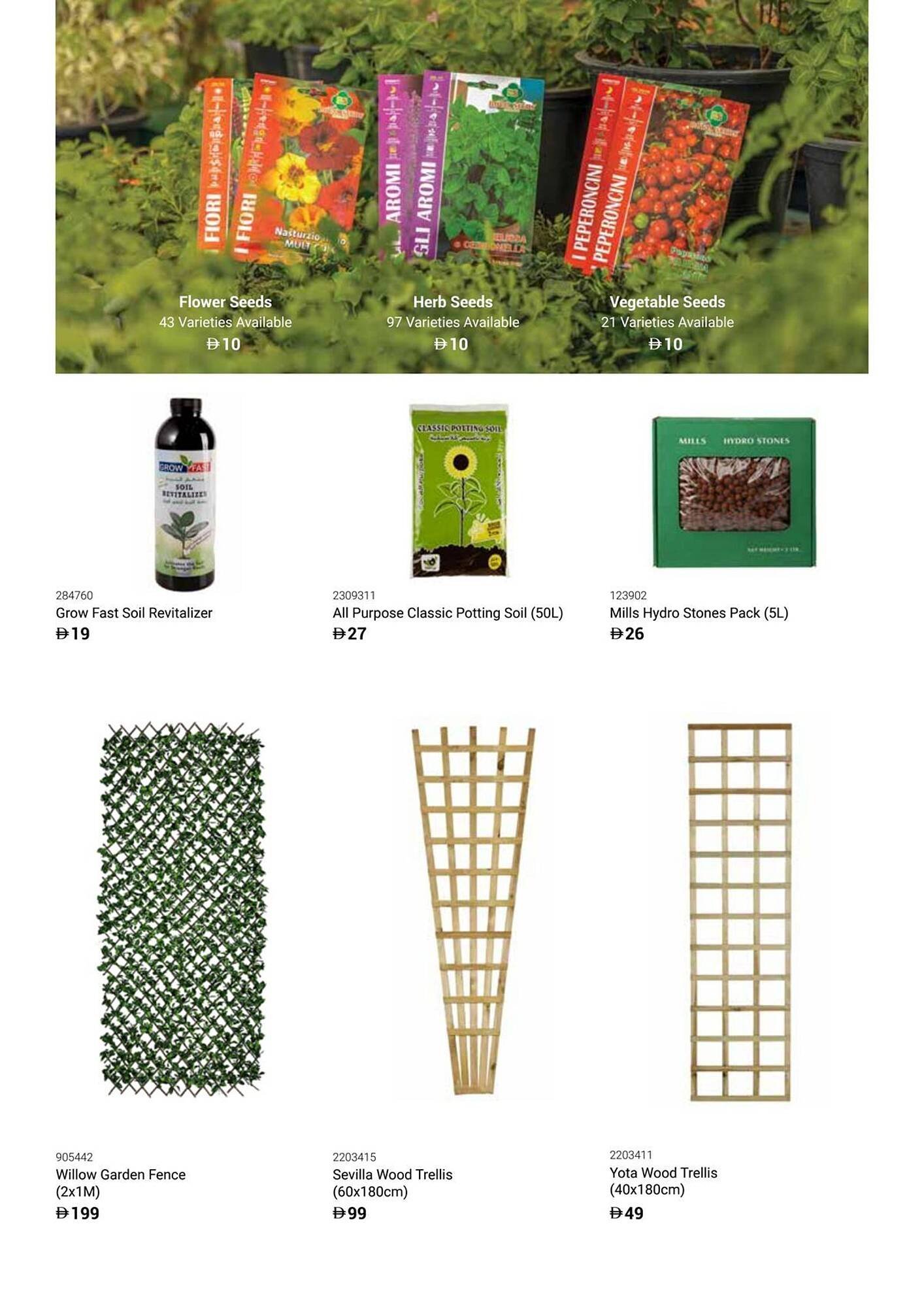 Ace catalogue (2025-12-16 - 2026-02-28) | 50