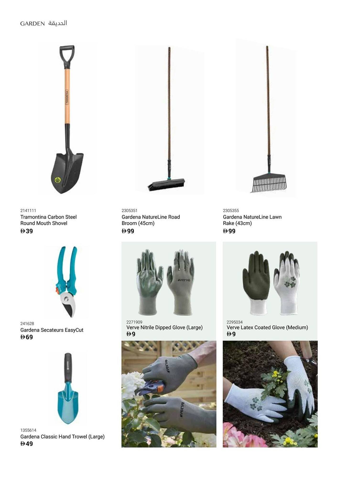 Ace catalogue (2025-12-16 - 2026-02-28) | 52