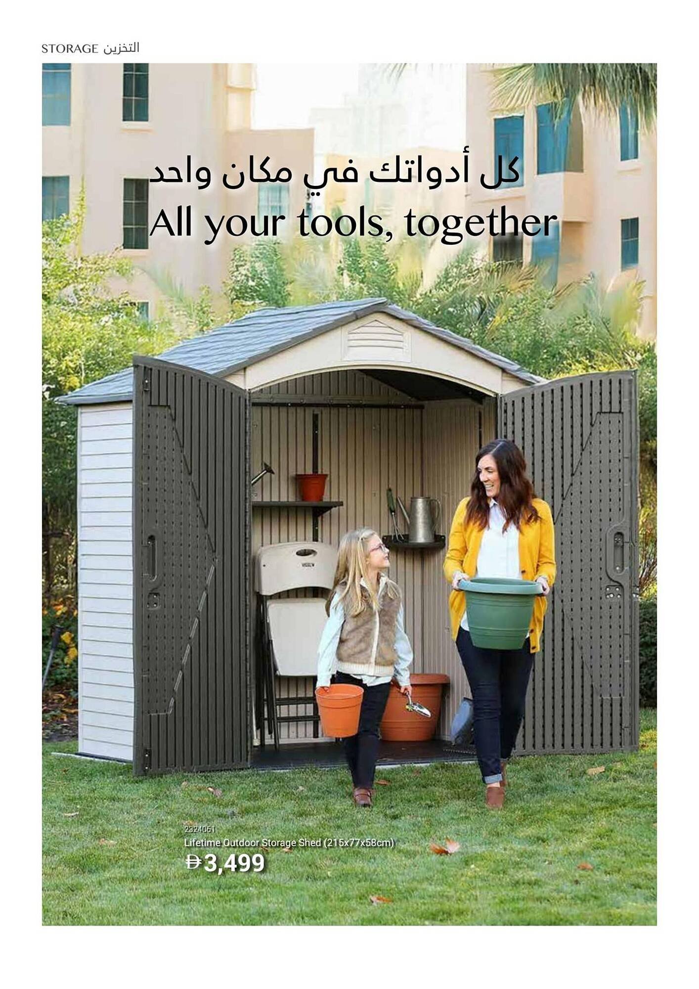 Ace catalogue (2025-12-16 - 2026-02-28) | 56