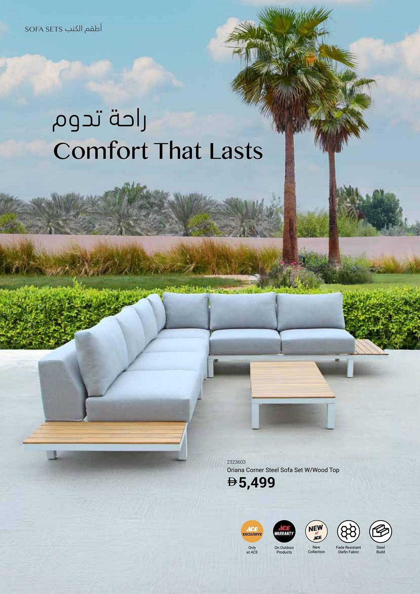 Ace catalogue (2025-12-16 - 2026-02-28) | 8