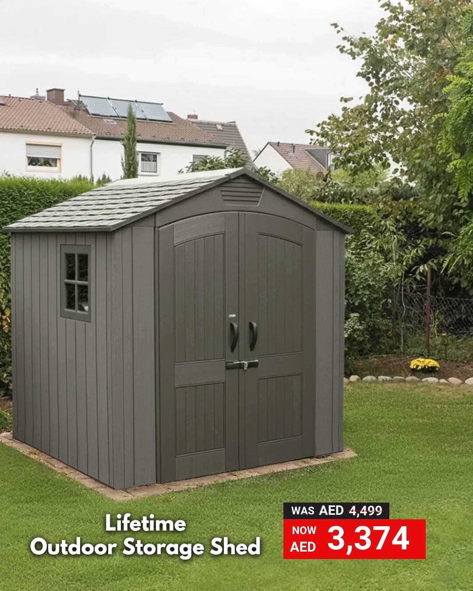 Ace catalogue (2025-10-24 - 2025-10-31) | 1