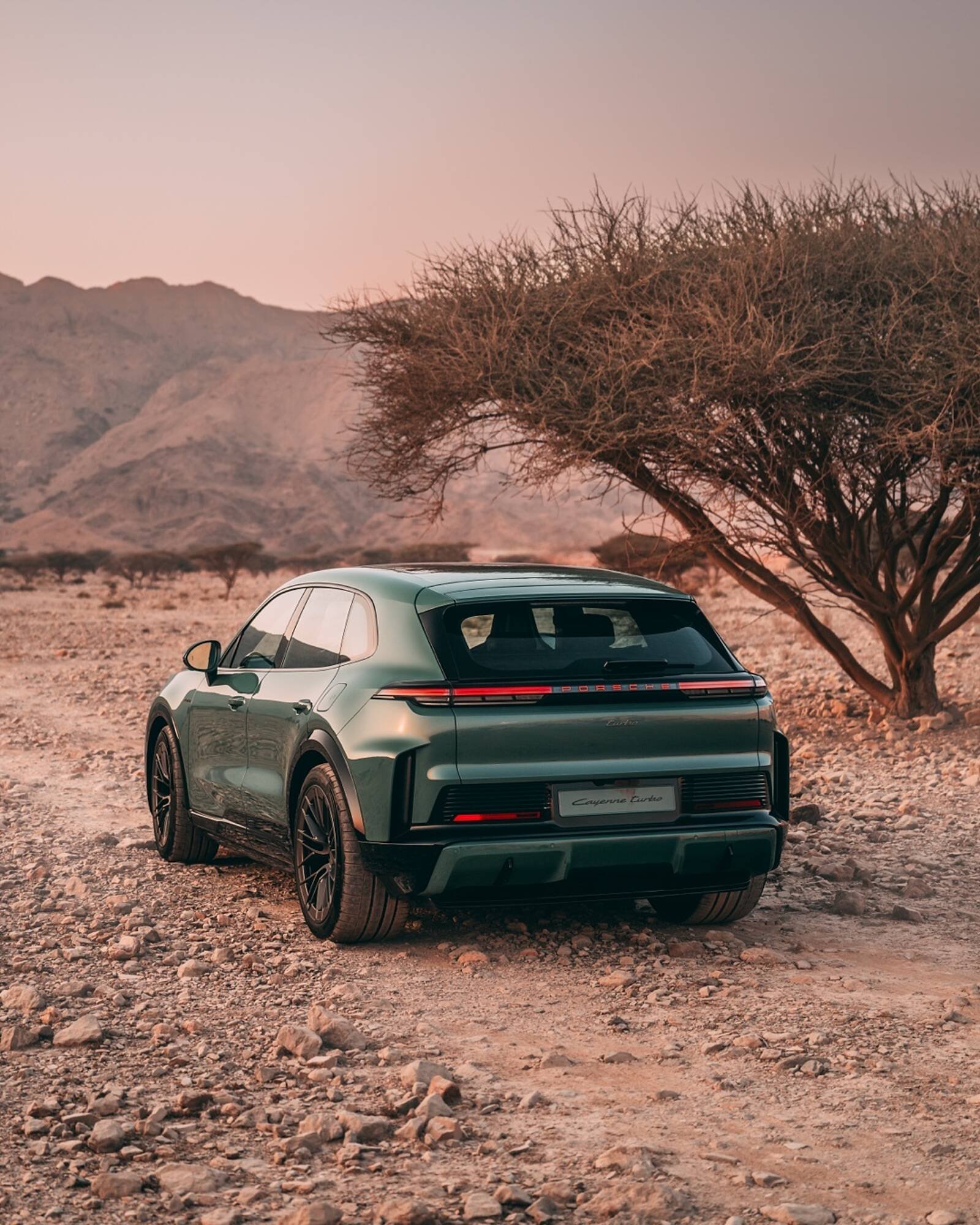 Porsche catalogue (2026-01-23 - 2027-01-23)