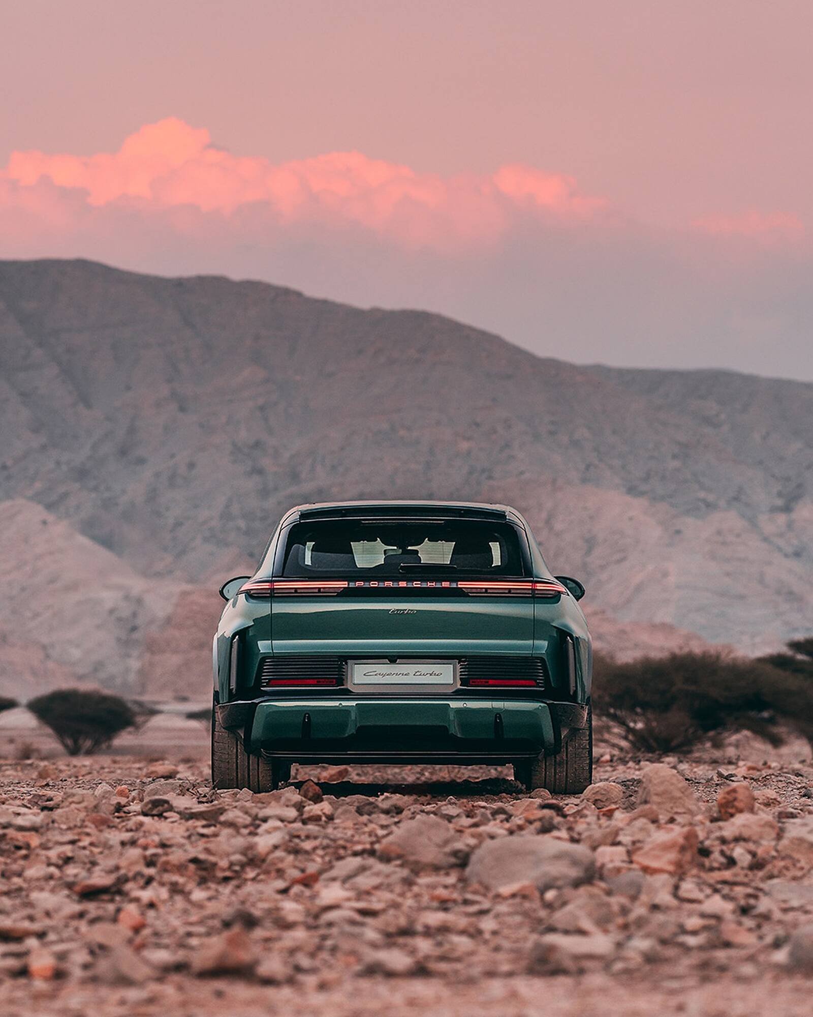 Porsche catalogue (2026-01-23 - 2027-01-23)