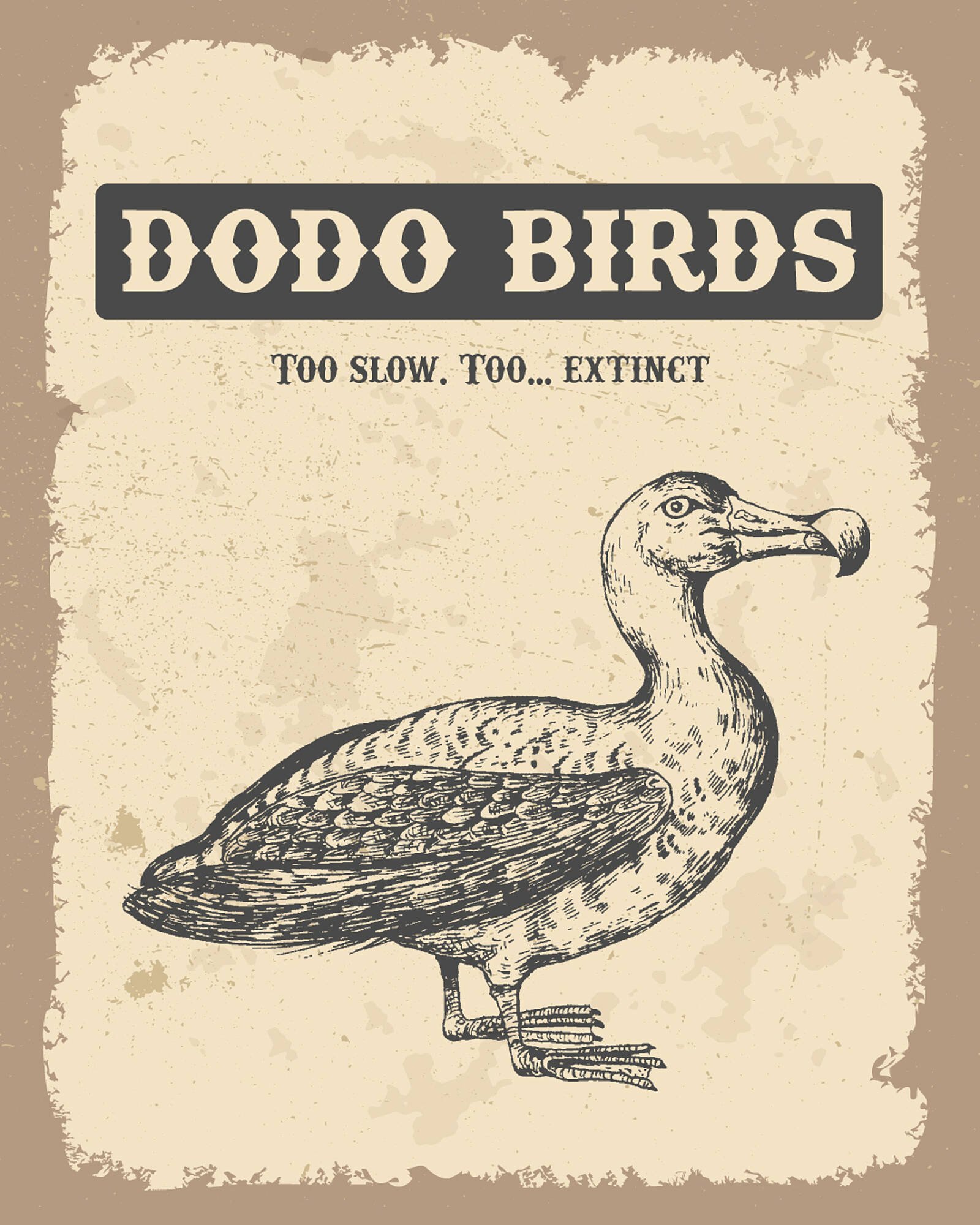 Sharaf DG catalogue (2026-01-01 - 2026-01-08) | 3