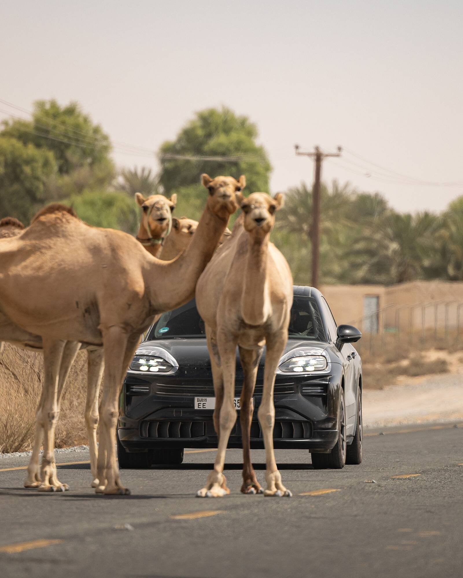 Porsche catalogue (2025-09-16 - 2026-09-16) | 4