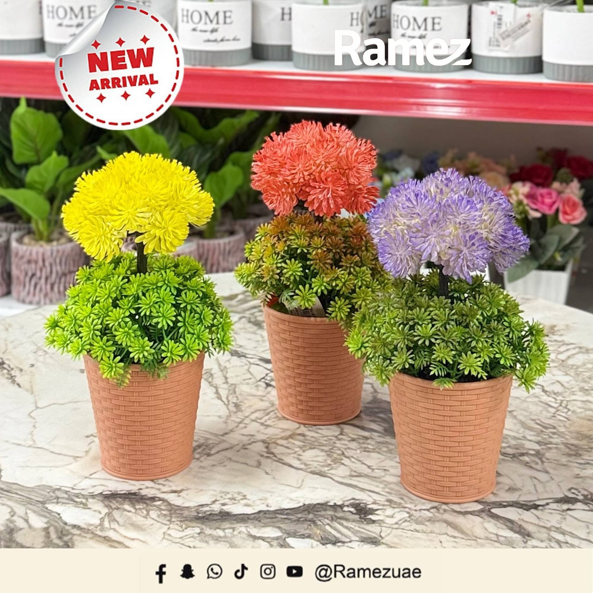 Ramez catalogue (2025-11-18 - 2025-11-24) | 2