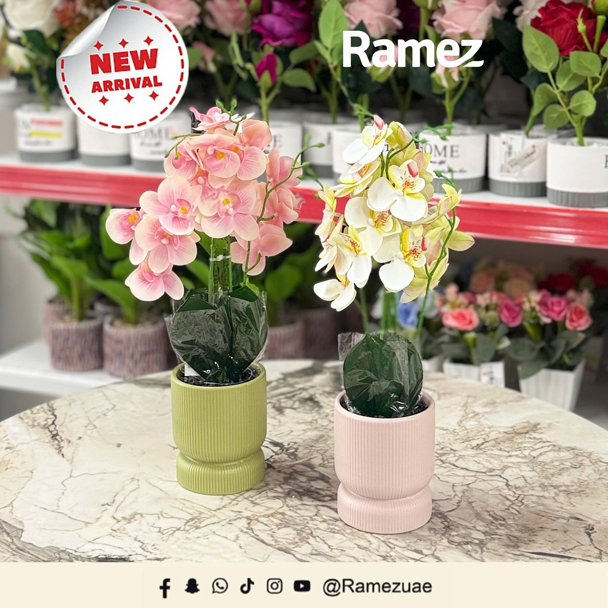 Ramez catalogue (2025-11-18 - 2025-11-24) | 3