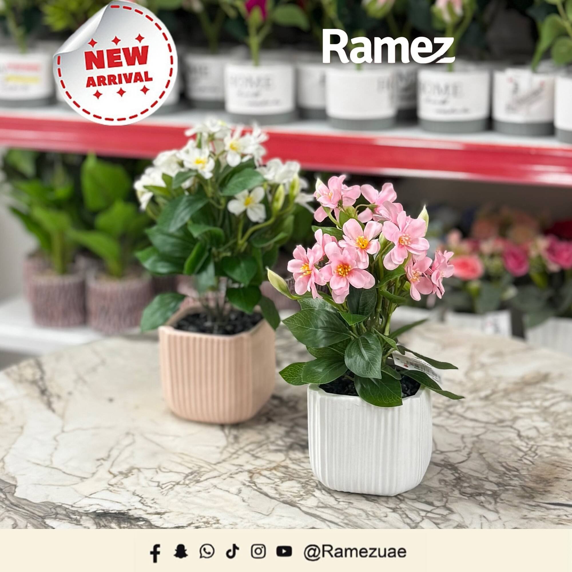 Ramez catalogue (2025-11-18 - 2025-11-24) | 4