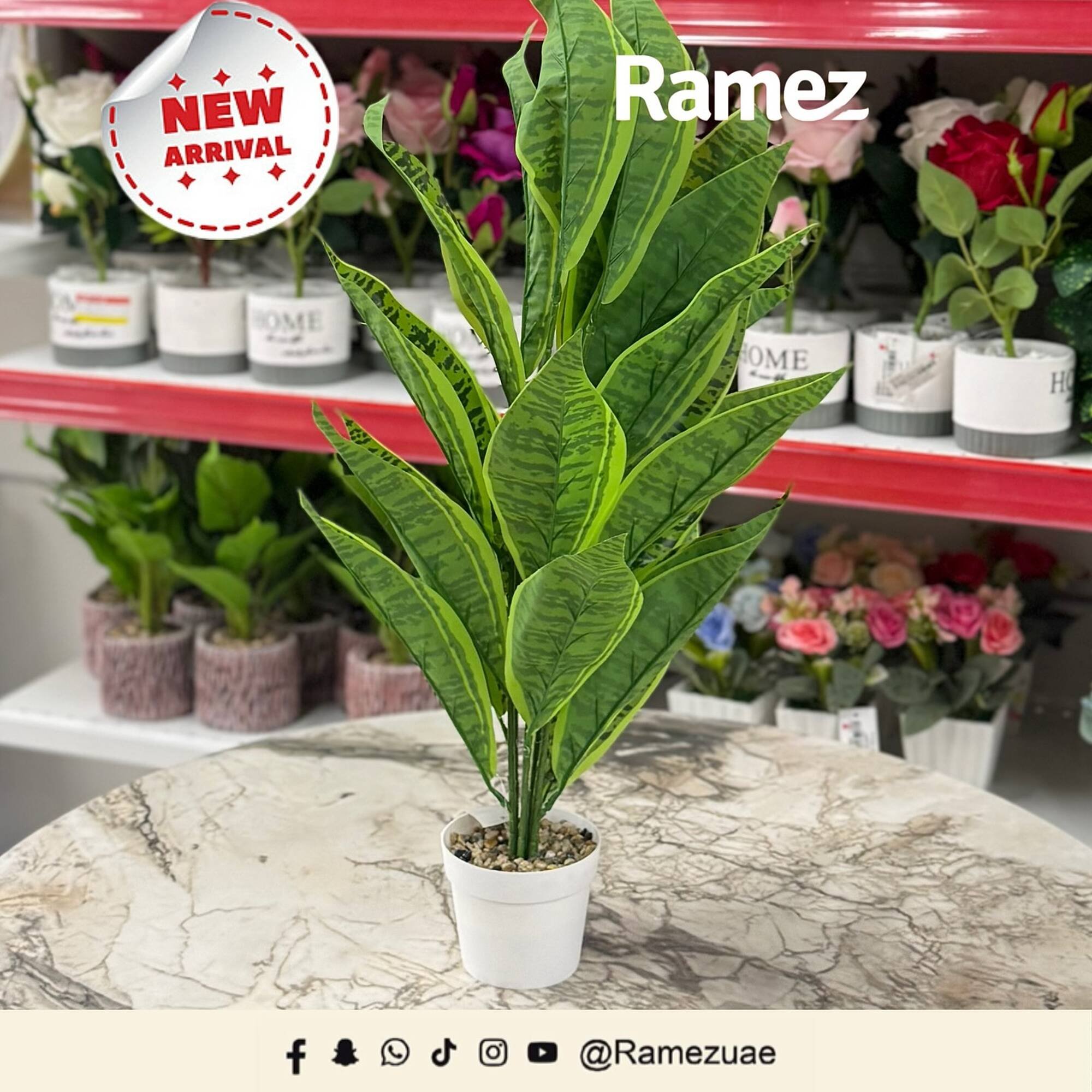 Ramez catalogue (2025-11-18 - 2025-11-24) | 5