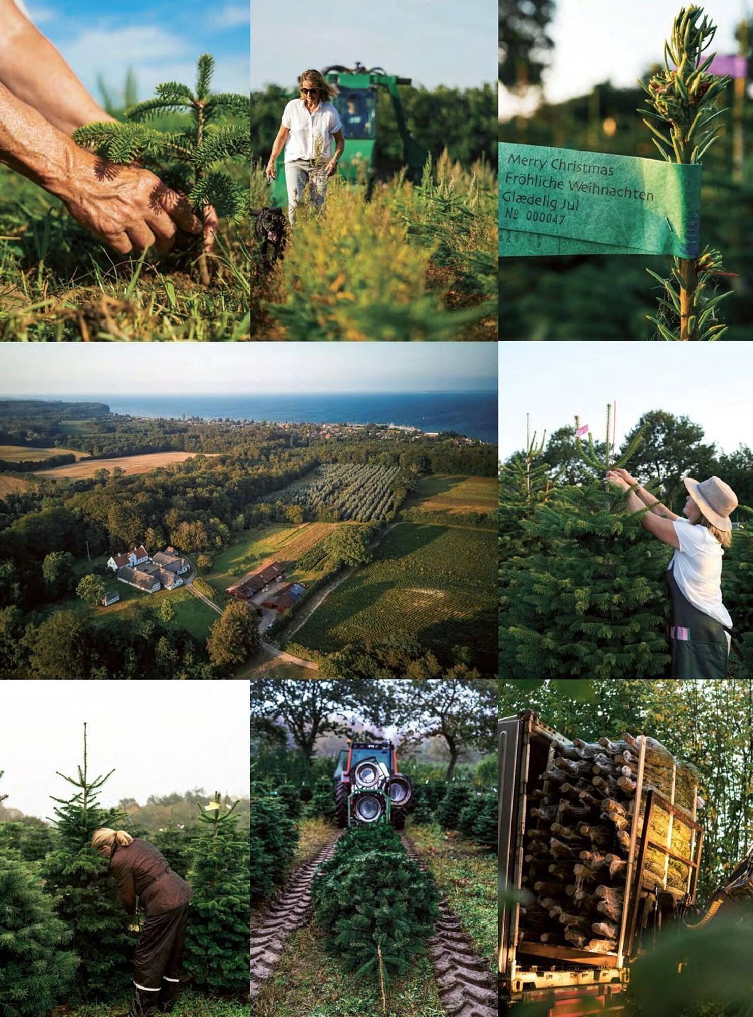 Spinneys catalogue (2025-11-03 - 2025-12-31) | 30