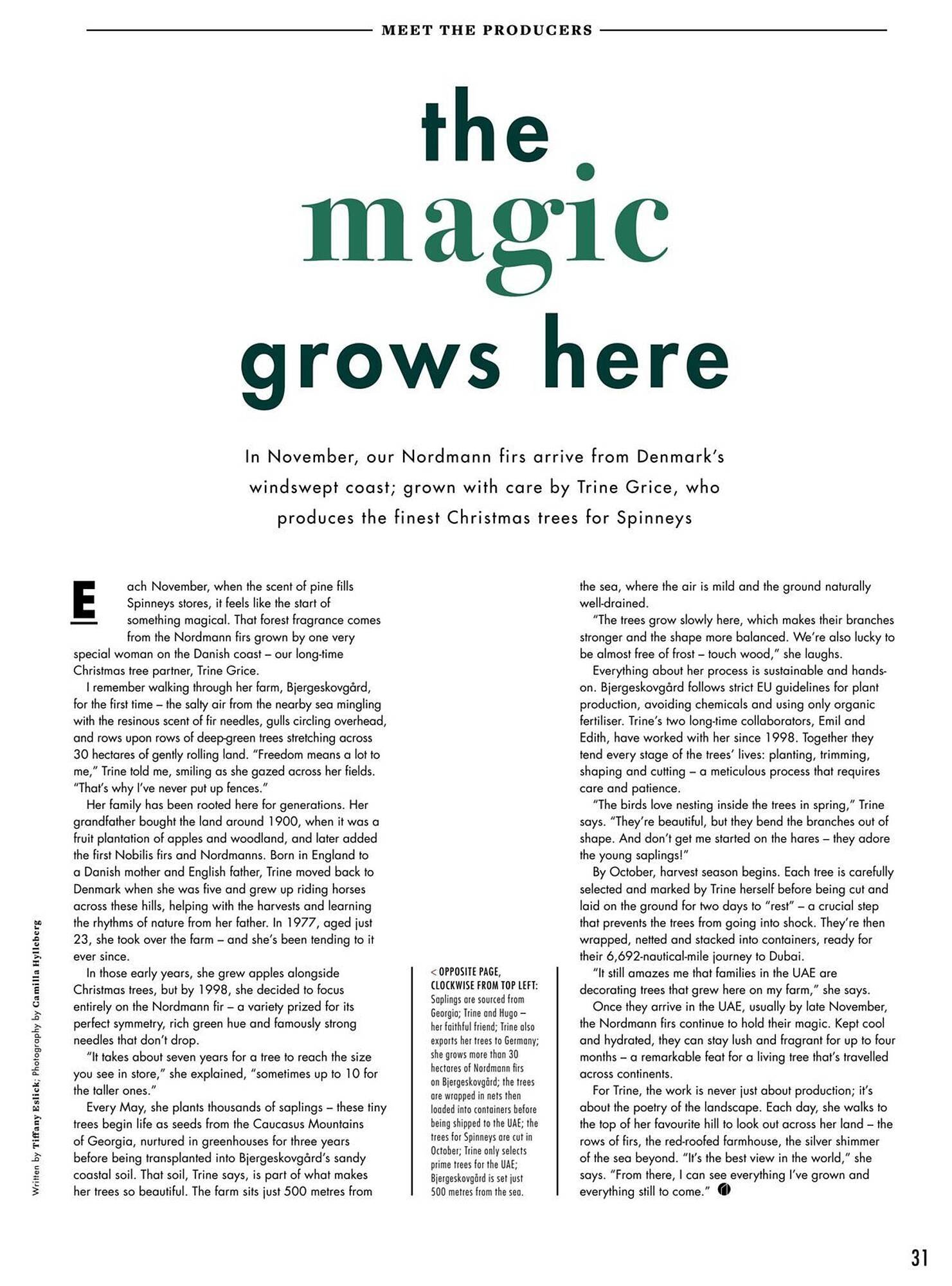 Spinneys catalogue (2025-11-03 - 2025-12-31) | 31