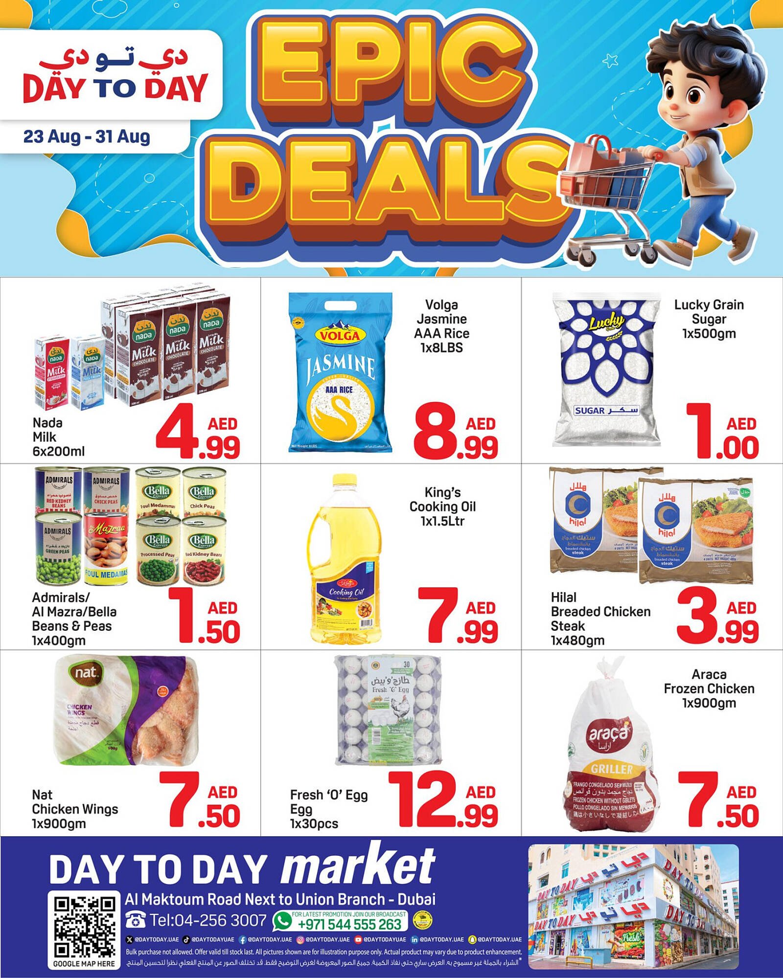 Day To Day catalogue (2025-08-23 - 2025-08-31) | 1