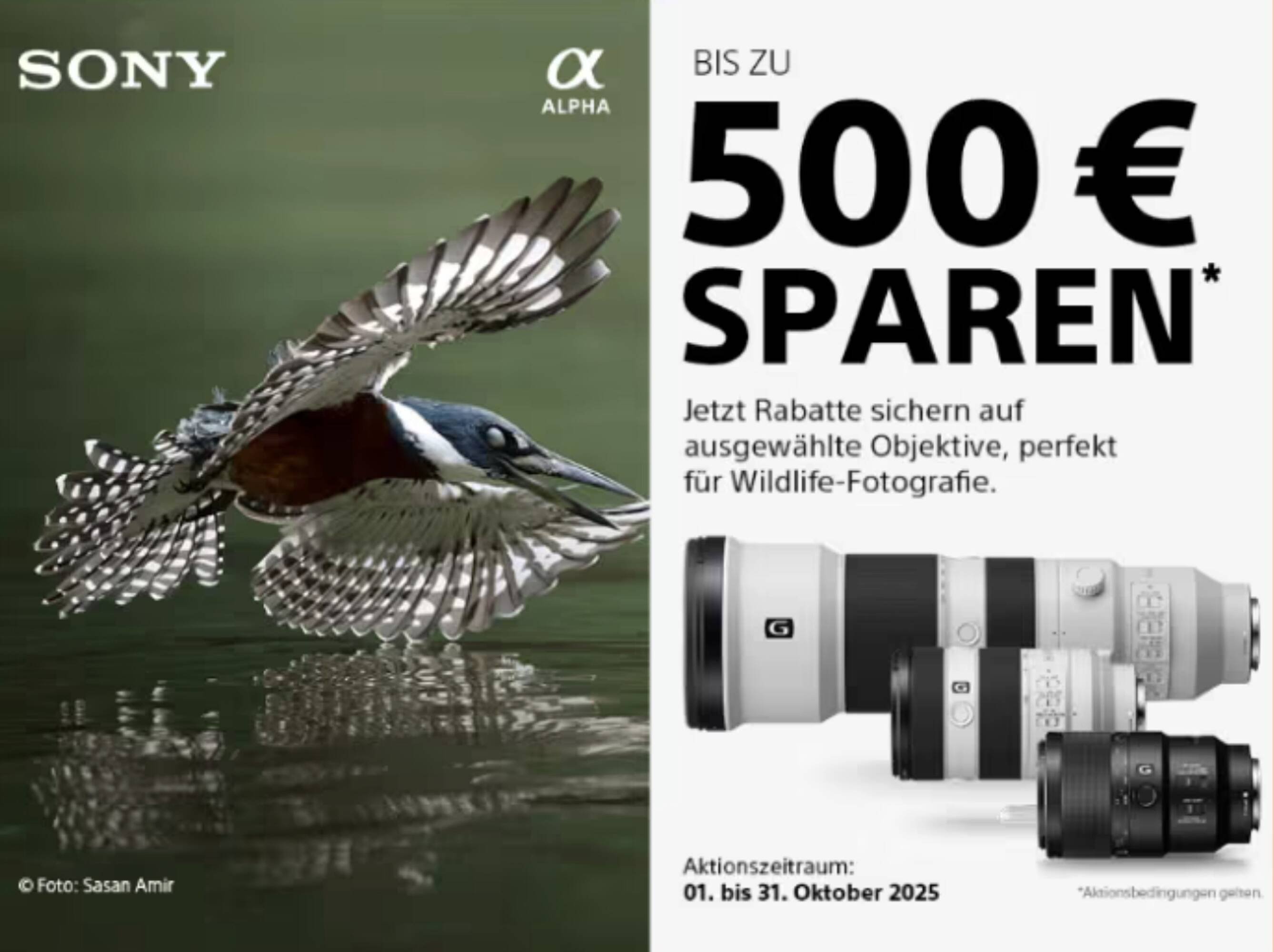 Hartlauer Flugblatt (2025-10-23 - 2025-10-31)