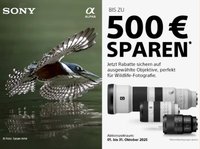 Hartlauer Flugblatt (2025-10-23 - 2025-10-31)