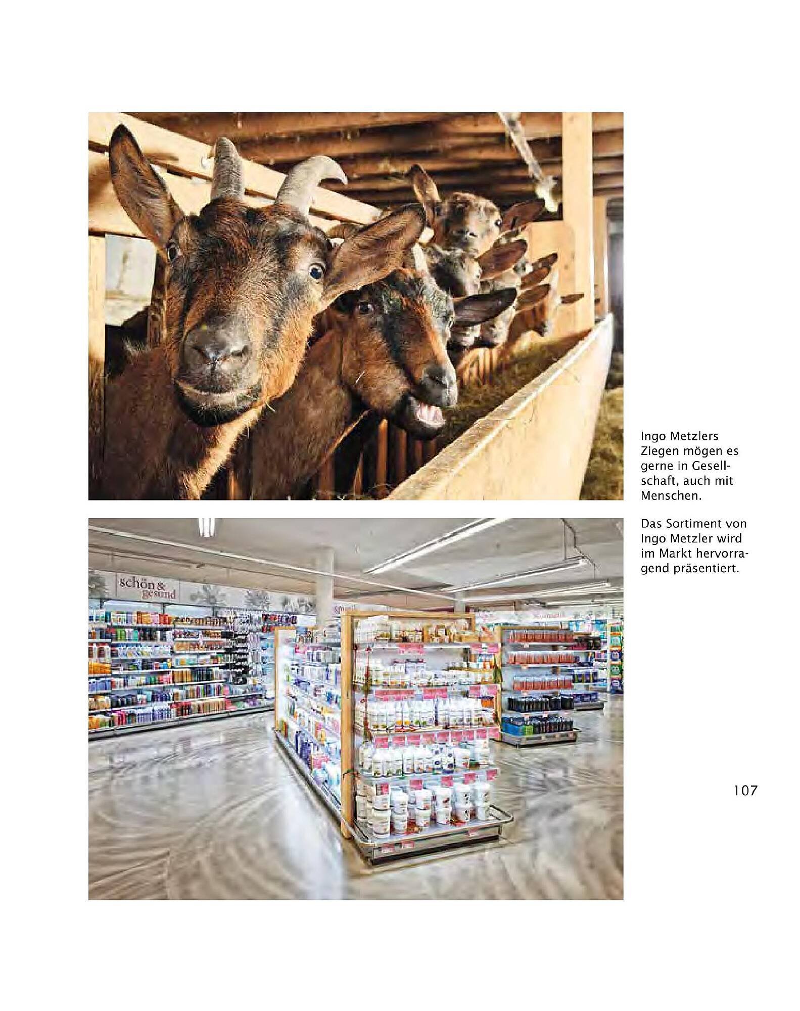 Sutterlüty Flugblatt