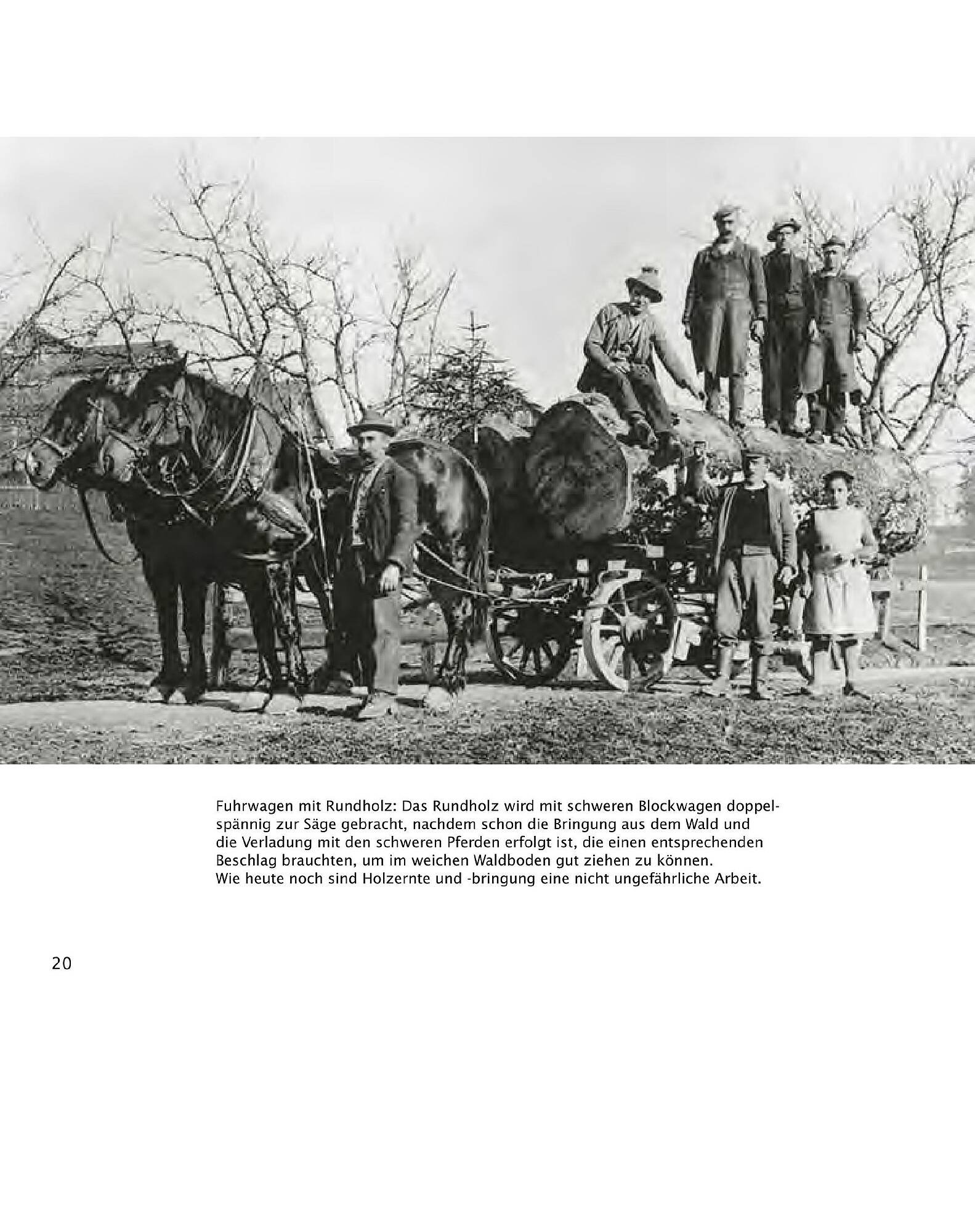 Sutterlüty Flugblatt