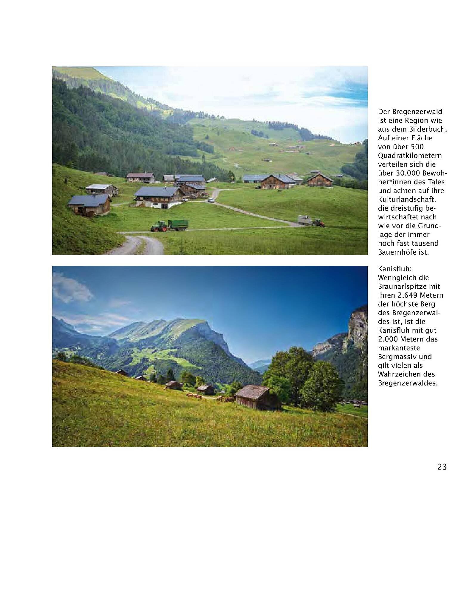 Sutterlüty Flugblatt