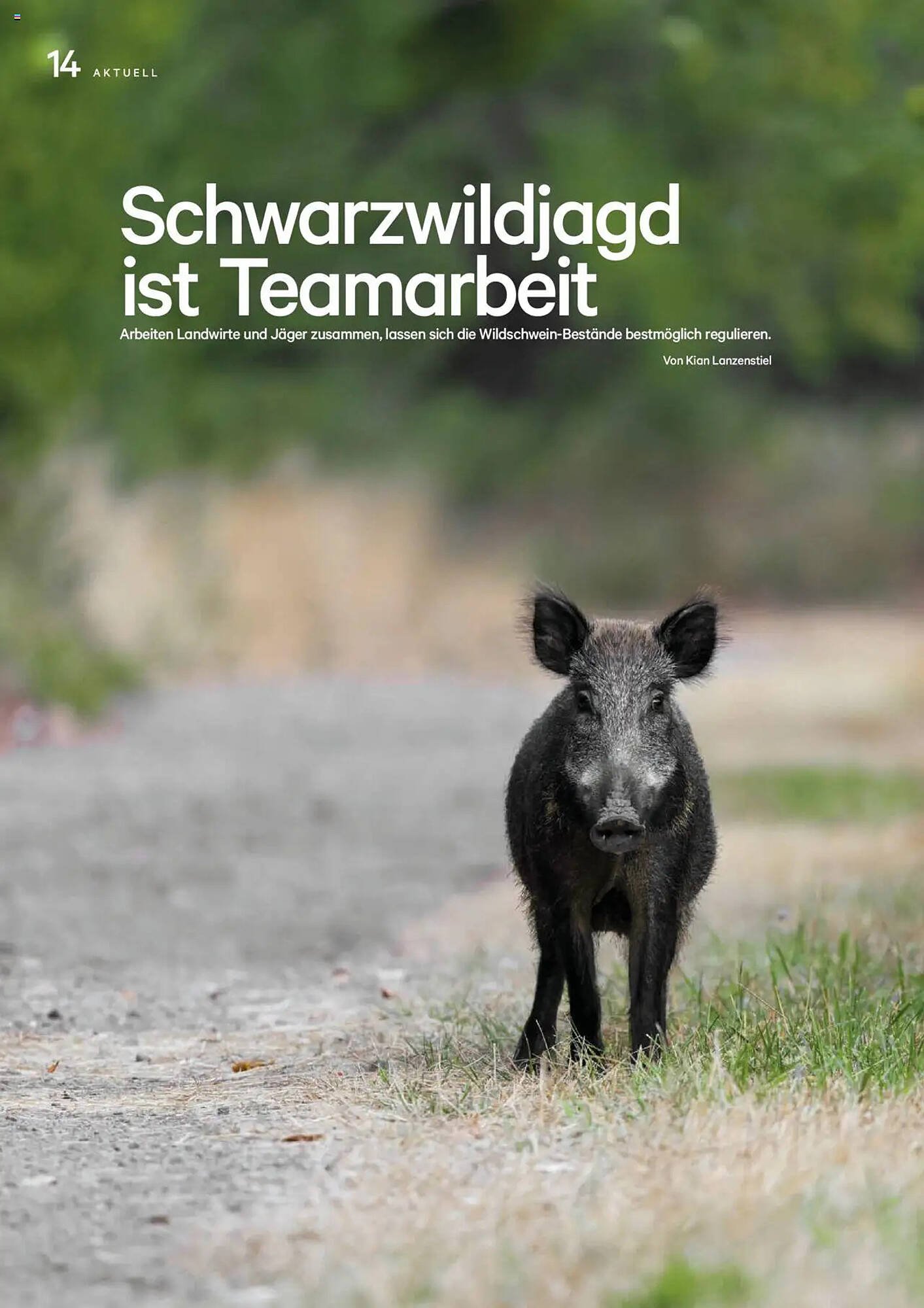 Lagerhaus Flugblatt (2025-08-20 - 2025-09-30)