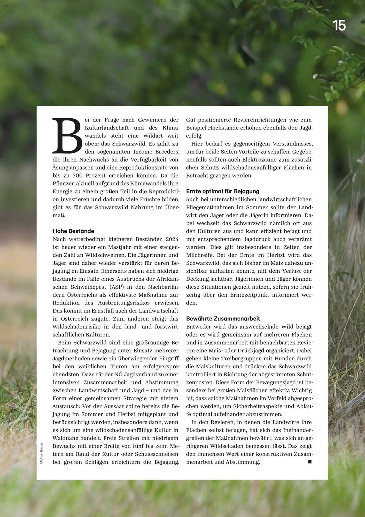 Lagerhaus Flugblatt (2025-08-20 - 2025-09-30)