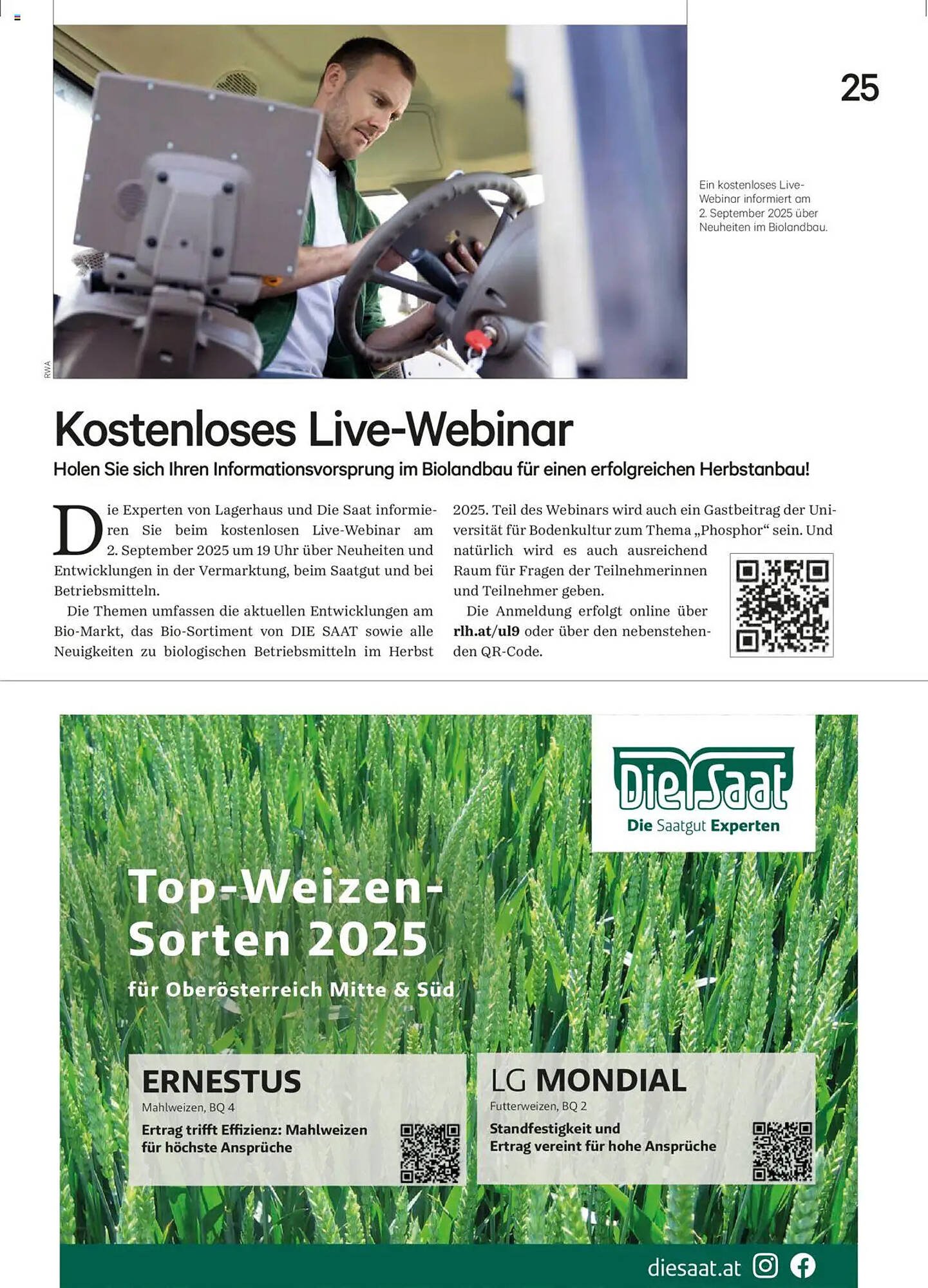 Lagerhaus Flugblatt (2025-08-20 - 2025-09-30)