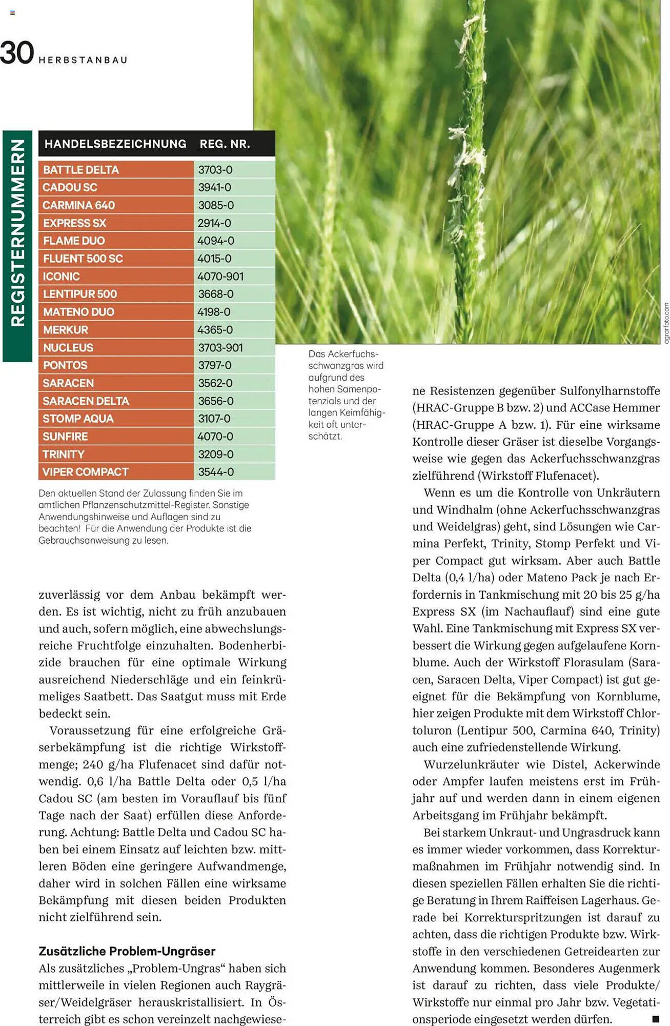 Lagerhaus Flugblatt (2025-08-20 - 2025-09-30)