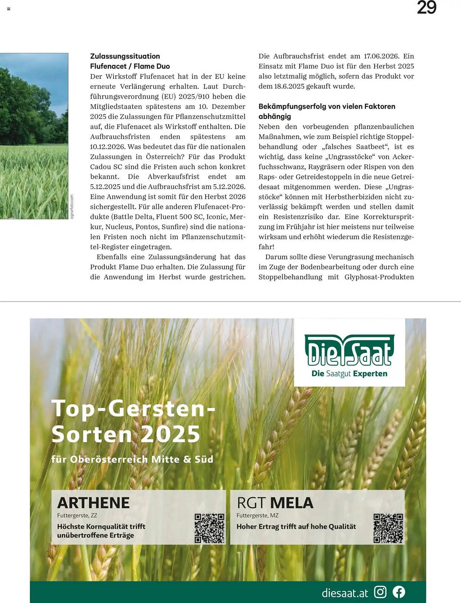 Lagerhaus Flugblatt (2025-08-20 - 2025-09-30)