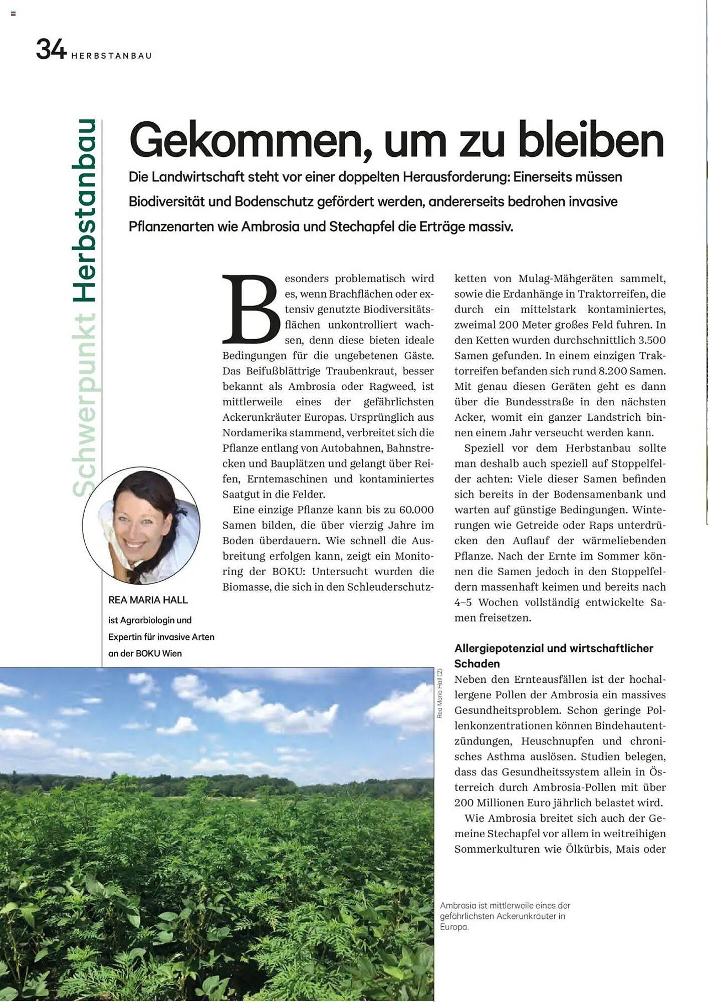 Lagerhaus Flugblatt (2025-08-20 - 2025-09-30)