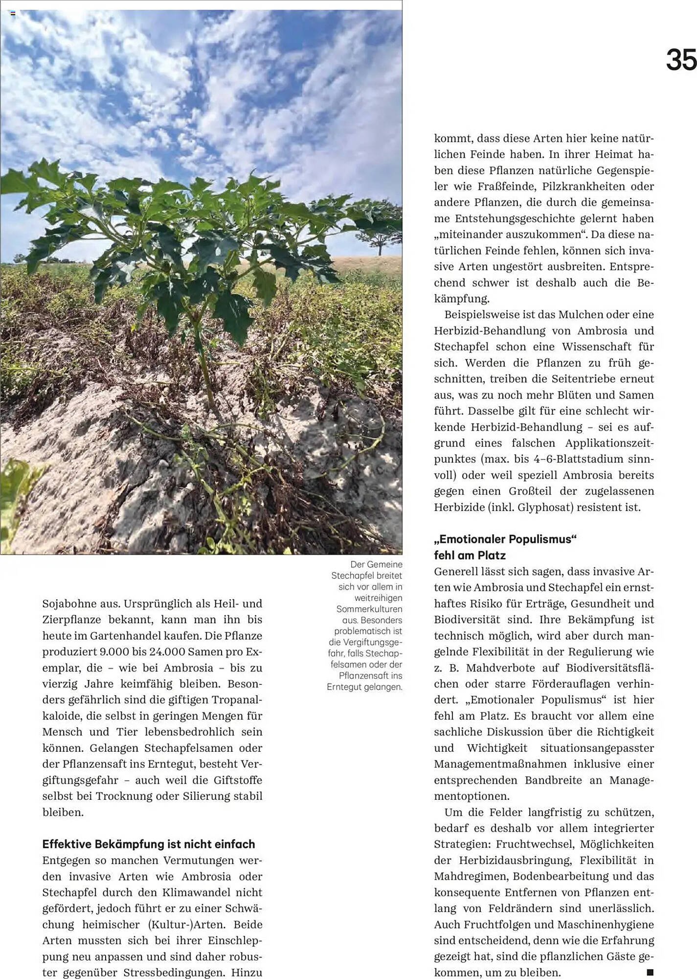 Lagerhaus Flugblatt (2025-08-20 - 2025-09-30)