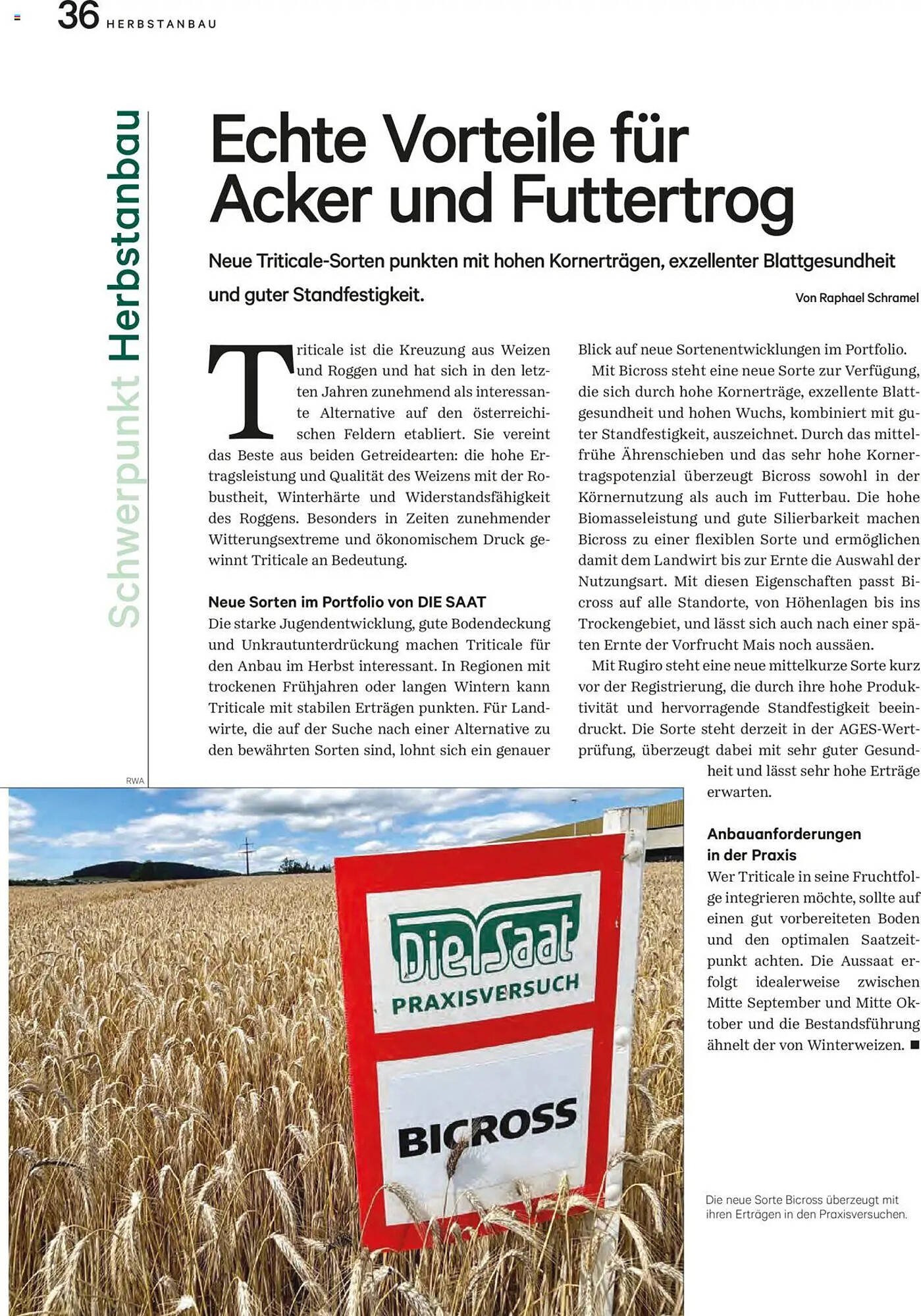 Lagerhaus Flugblatt (2025-08-20 - 2025-09-30)