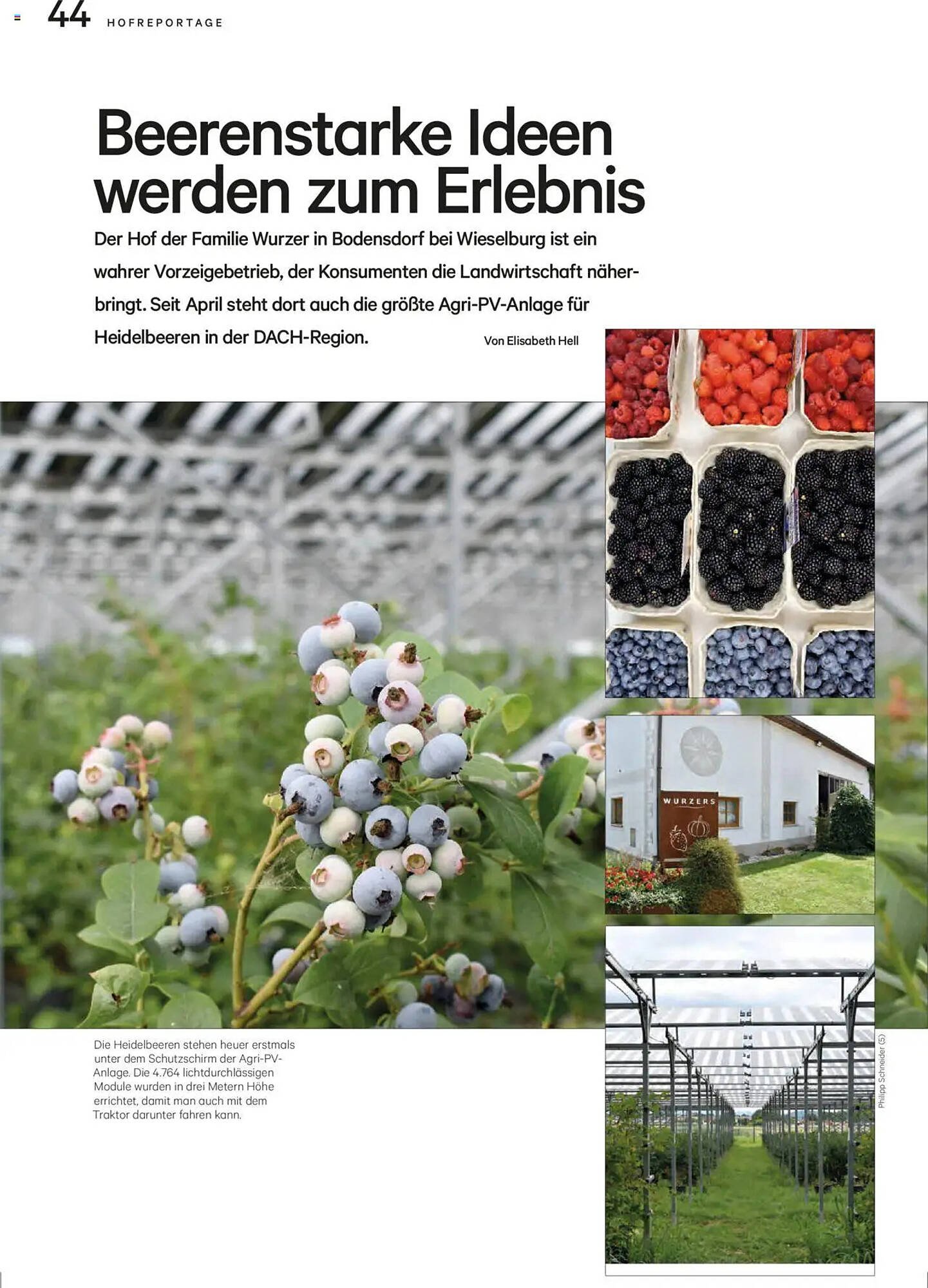 Lagerhaus Flugblatt (2025-08-20 - 2025-09-30)