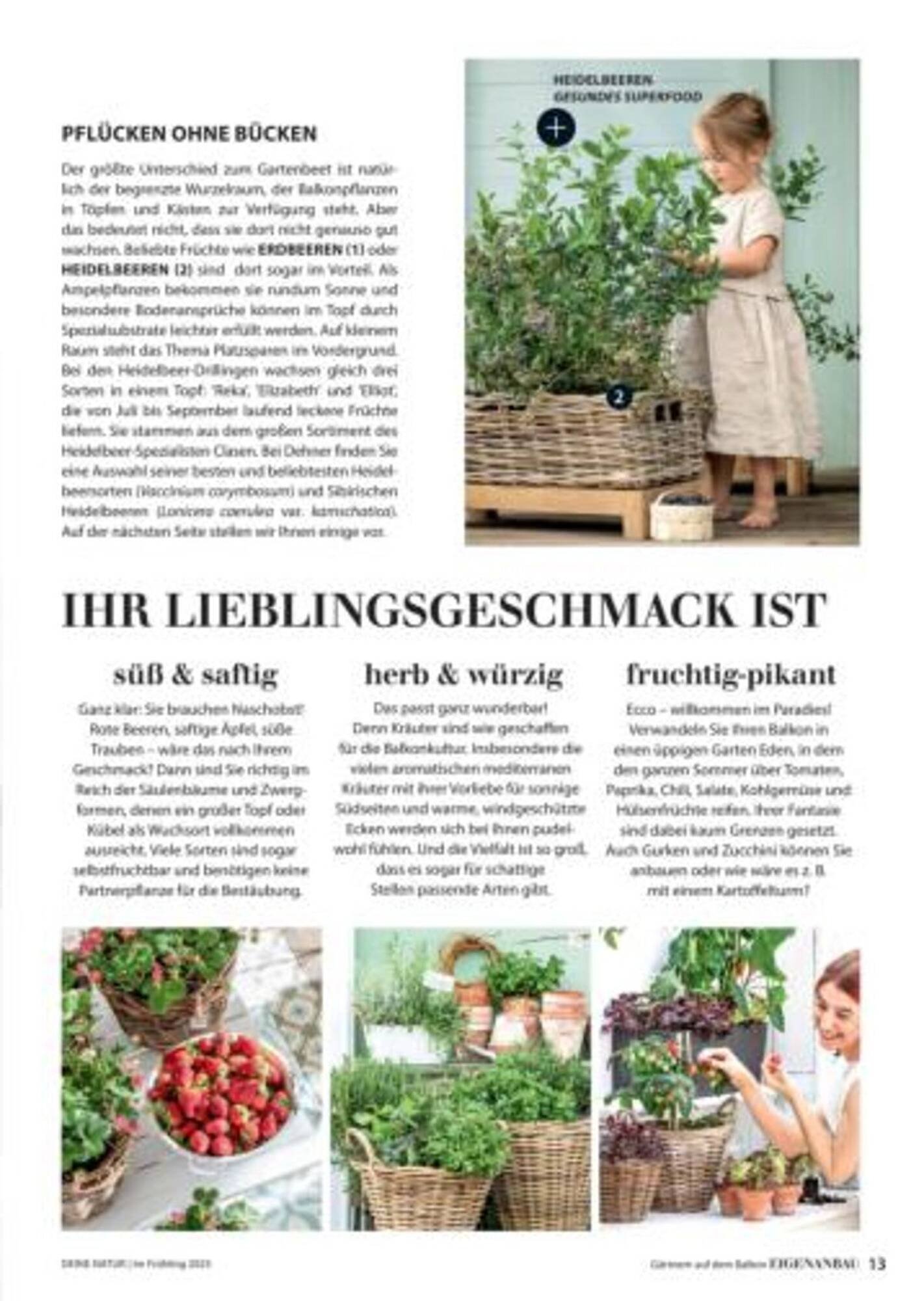 Dehner Flugblatt (2025-10-05 - 2025-10-11)