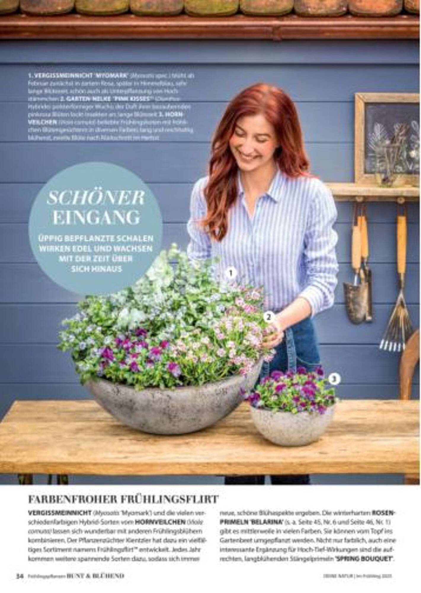 Dehner Flugblatt (2025-10-05 - 2025-10-11)
