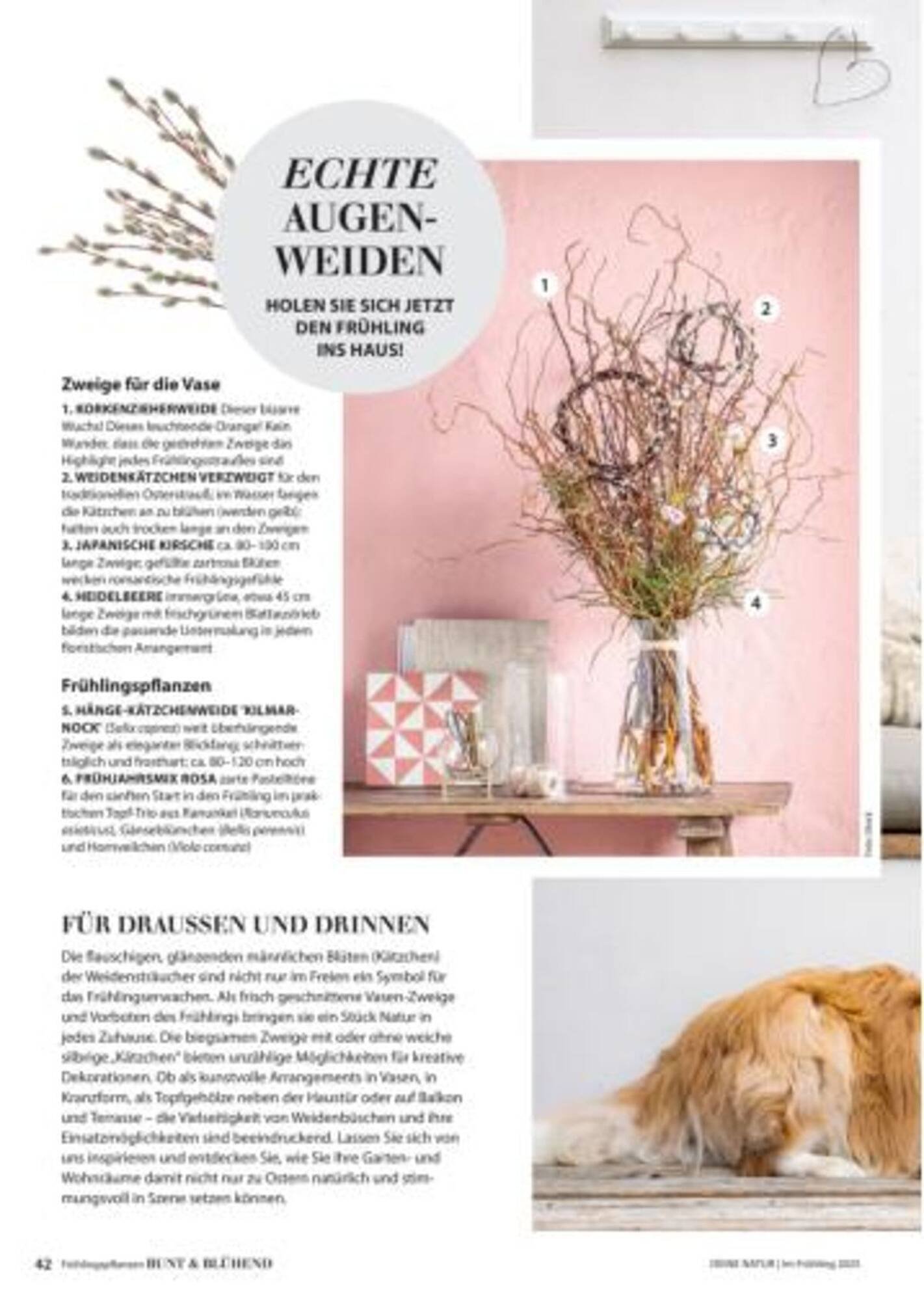 Dehner Flugblatt (2025-10-05 - 2025-10-11)