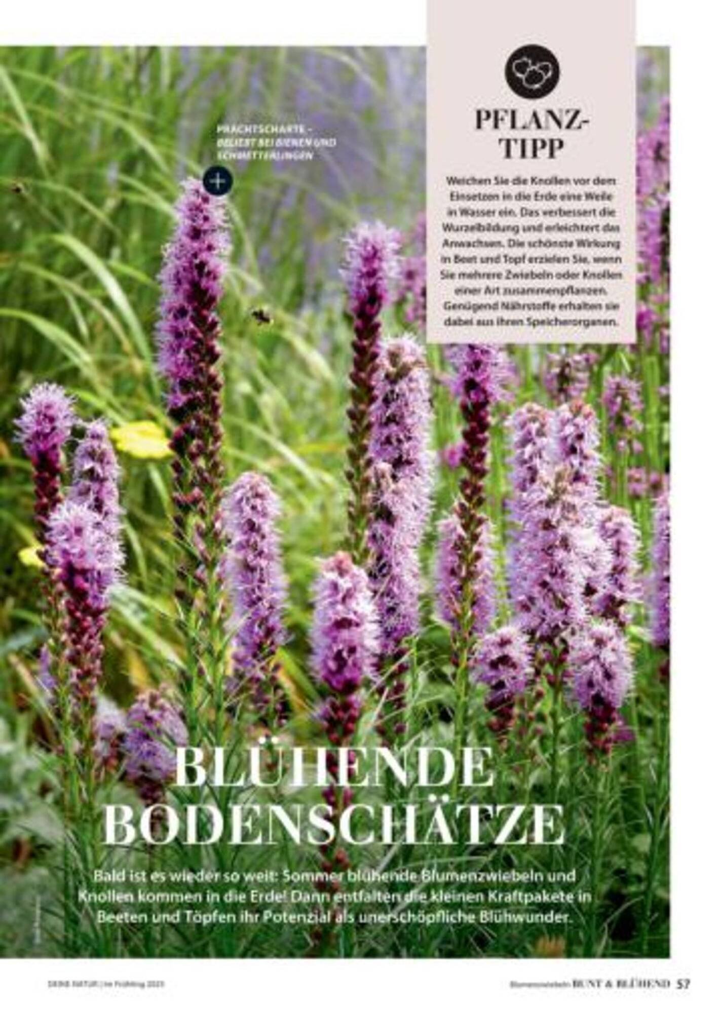 Dehner Flugblatt (2025-10-05 - 2025-10-11)