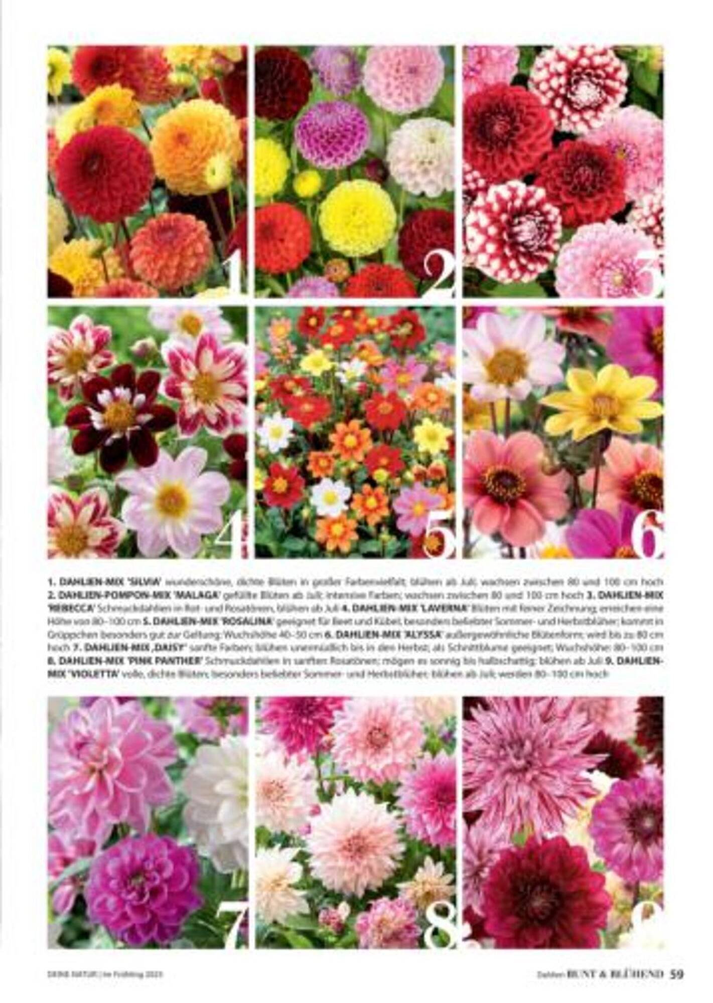 Dehner Flugblatt (2025-10-05 - 2025-10-11)